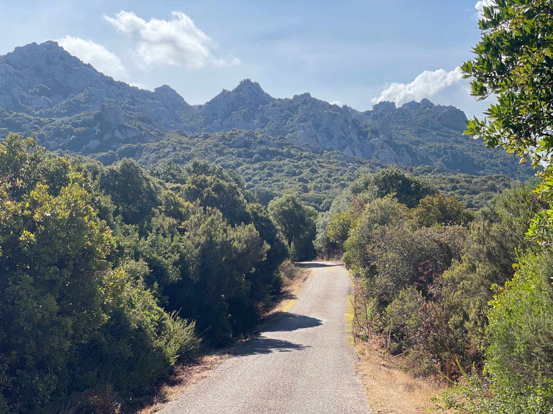 Terreno Agricolo in vendita a Aglientu, Vignola Mare