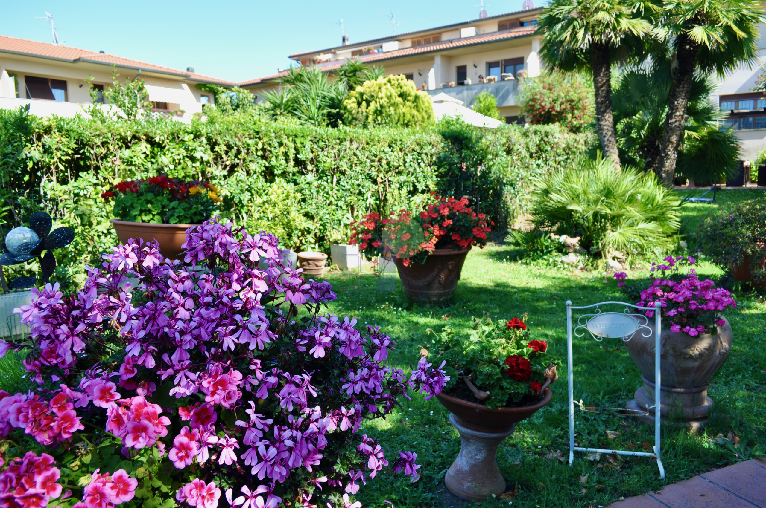 Casa indipendente con giardino in via del pino 12, Livorno