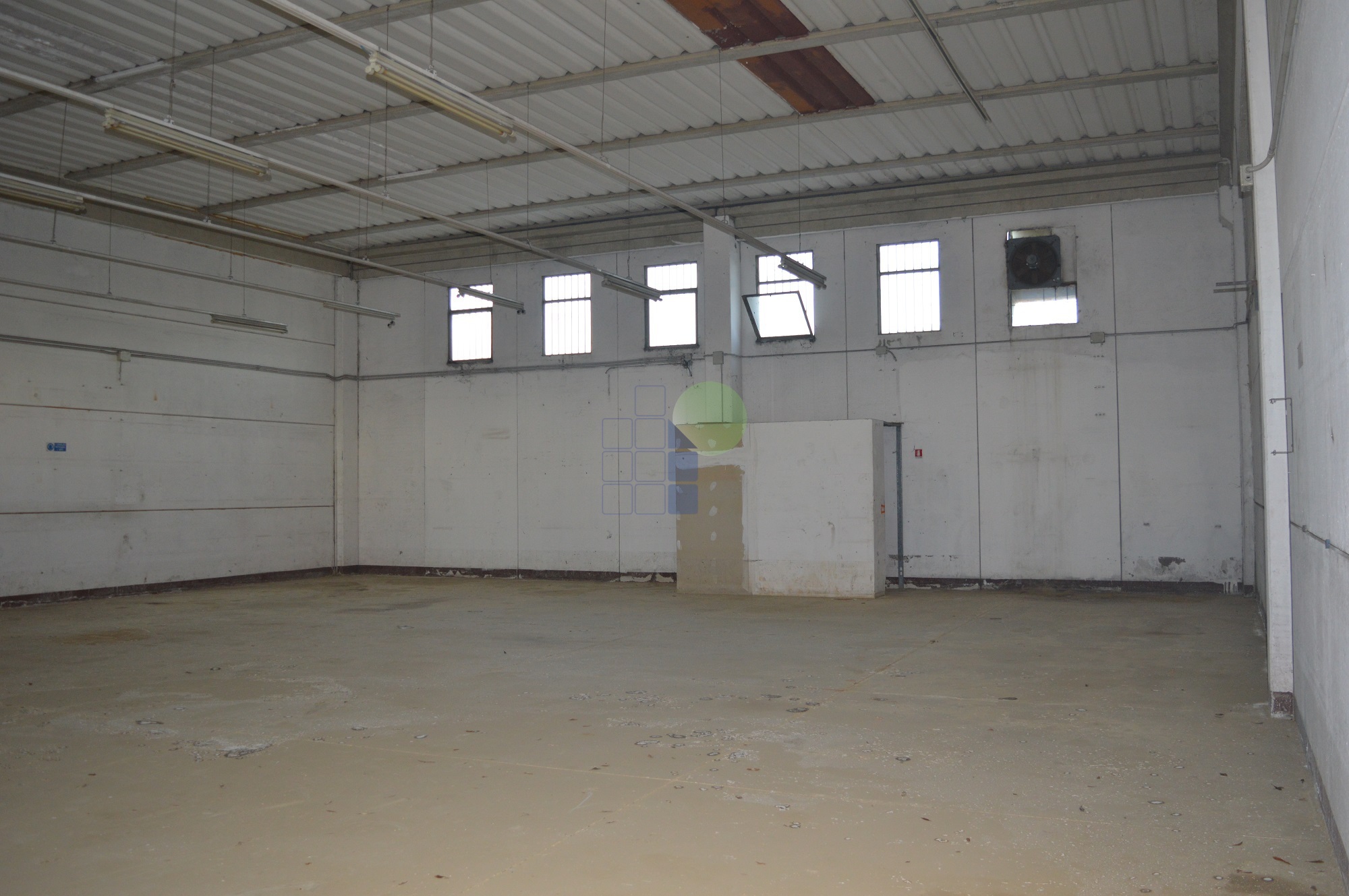 Capannone in affitto in via aurelia 76, Collesalvetti