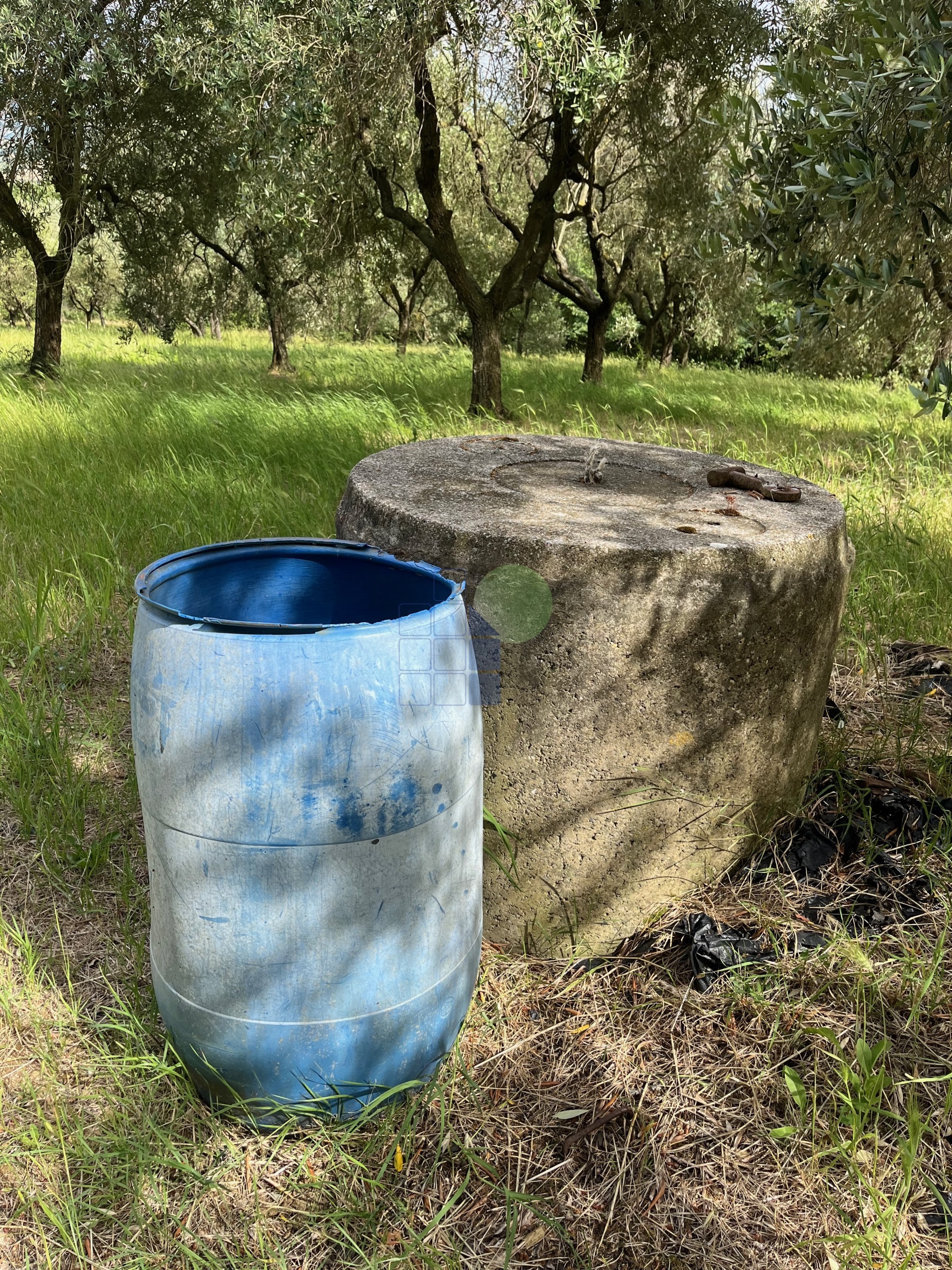 Rustico con giardino in via traversa livornese 11, Rosignano Marittimo