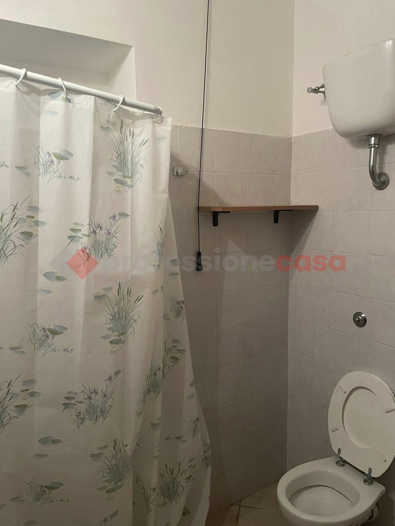 Loft arredato in affitto a Vitulazio