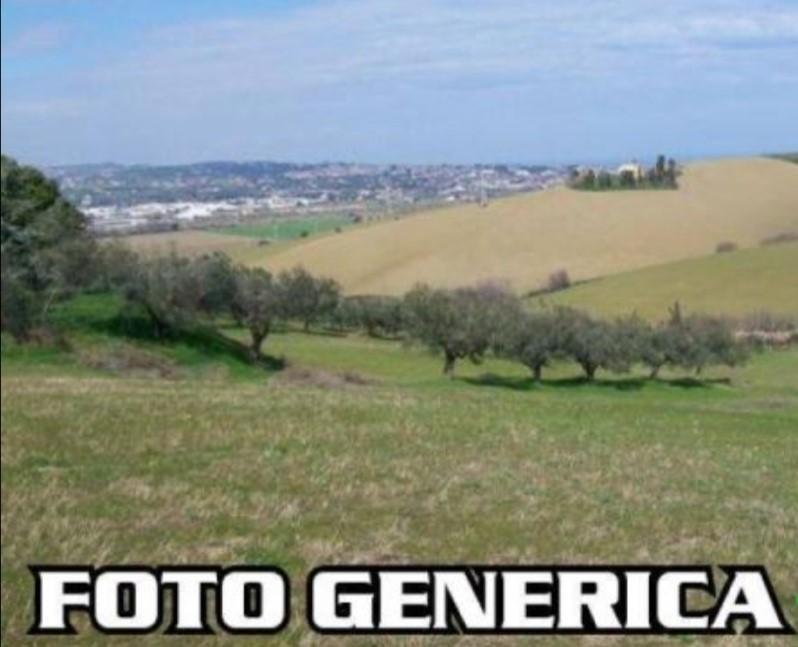 Terreno Agricolo in vendita, Pisa ospedaletto