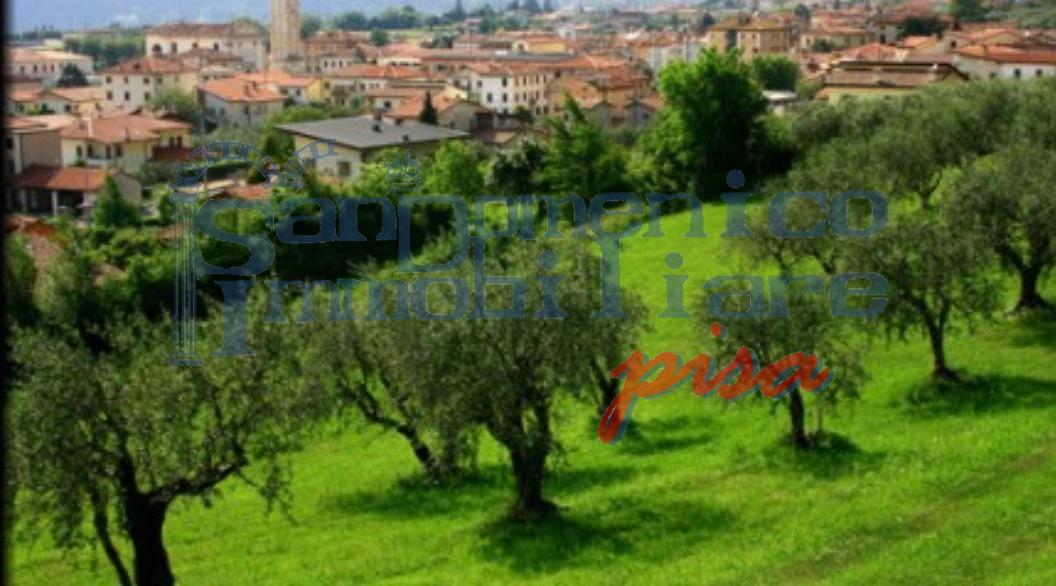 Terreno Agricolo in vendita a Capannori