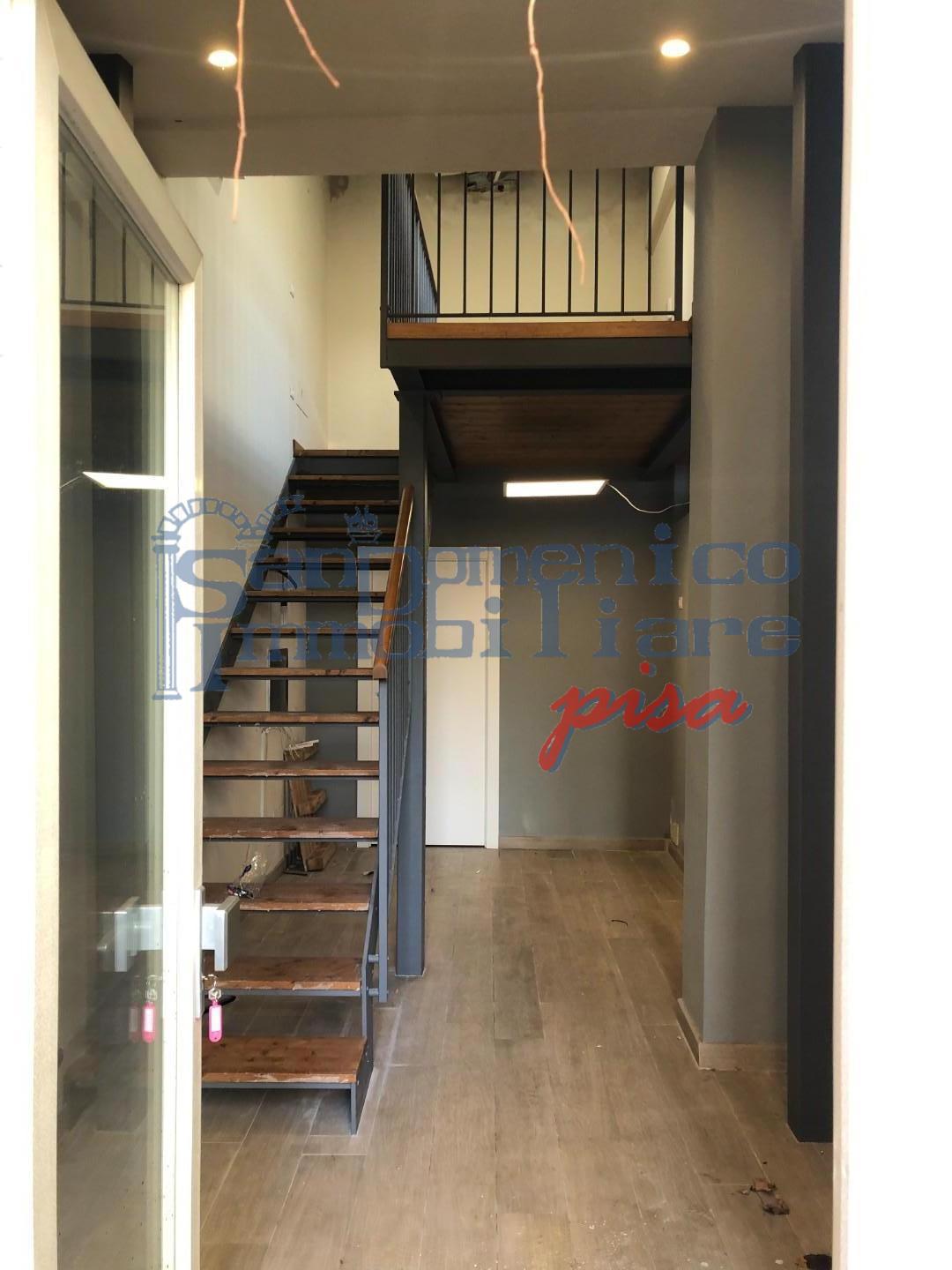 Loft ristrutturato, Pisa san martino