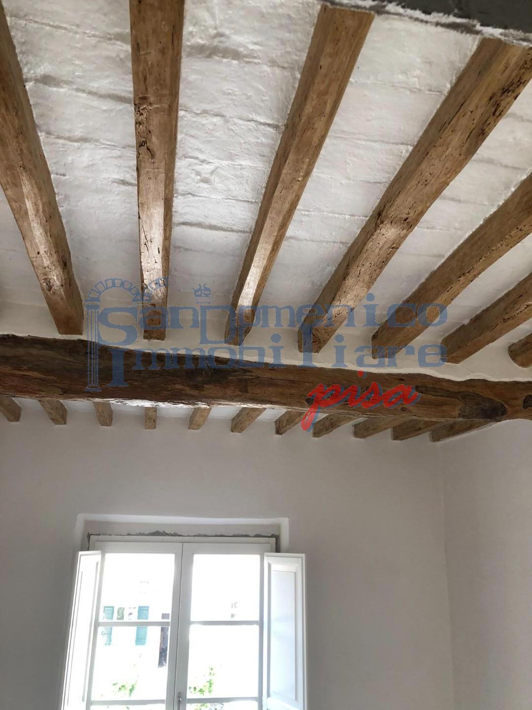 Trilocale da ristrutturare, Pisa san martino