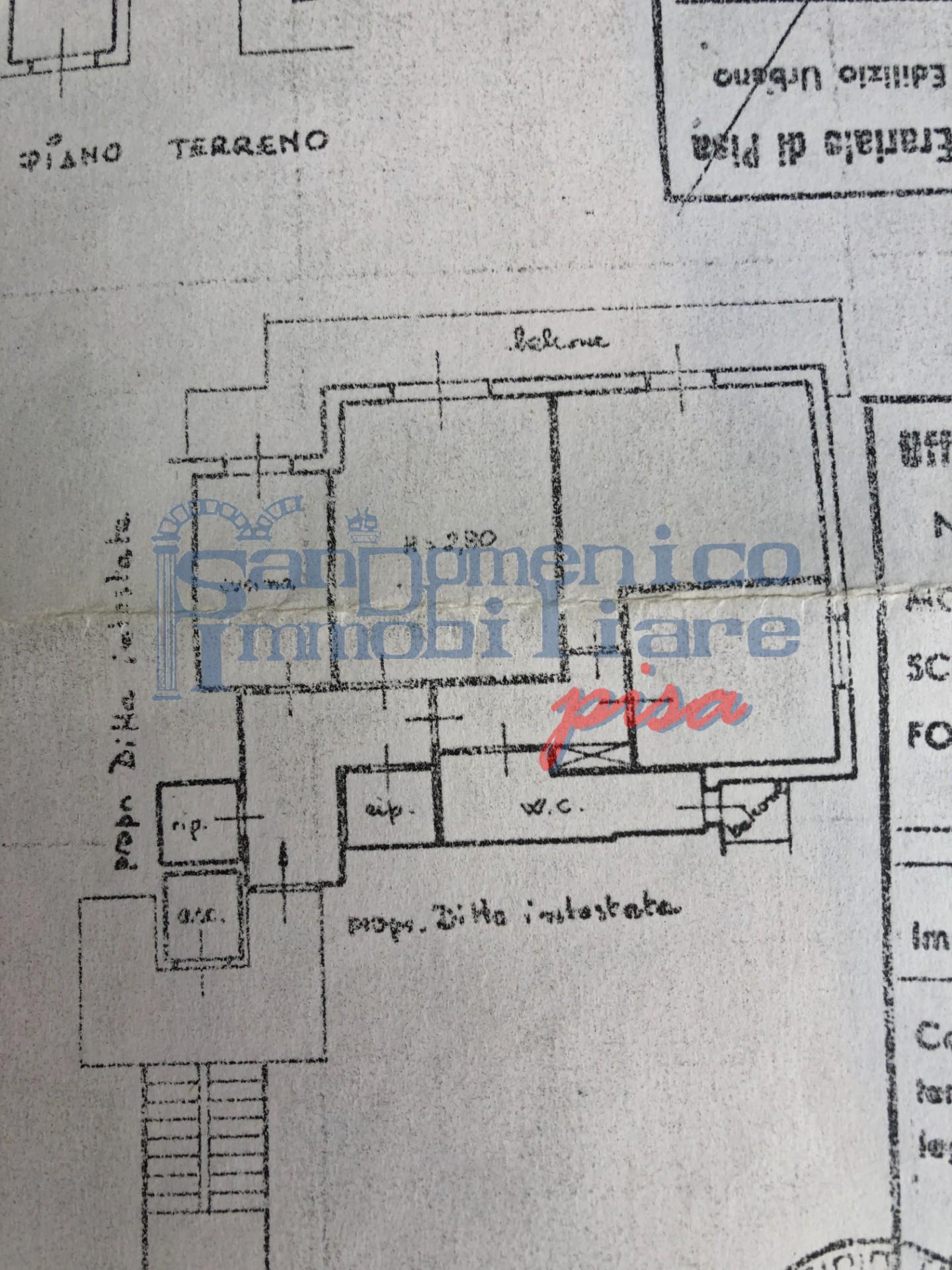 Quadrilocale arredato in affitto, Pisa porta a piagge