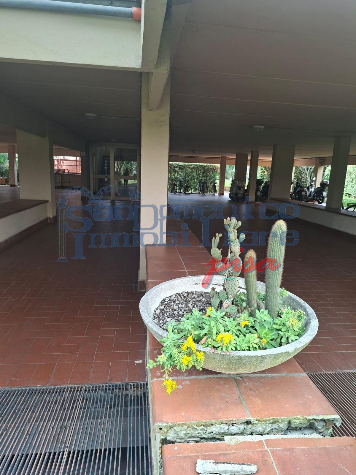 Appartamento con terrazzo, Pisa nova