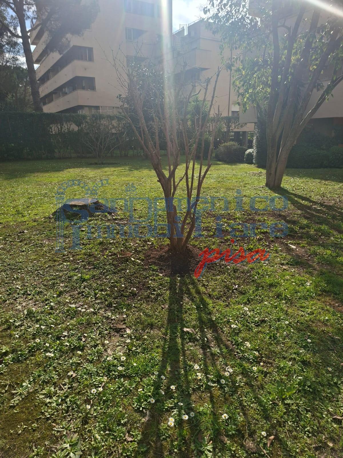 Appartamento con terrazzo, Pisa nova