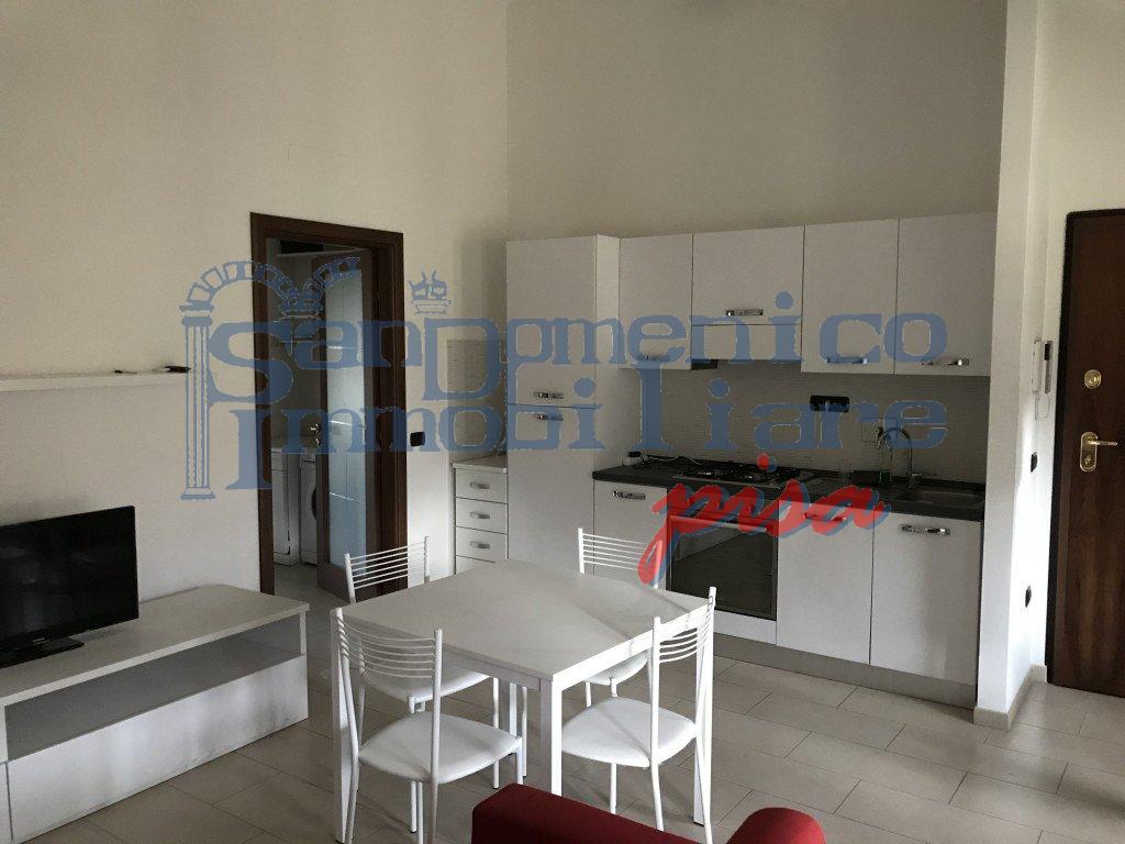 Bilocale arredato in affitto, Pisa san martino