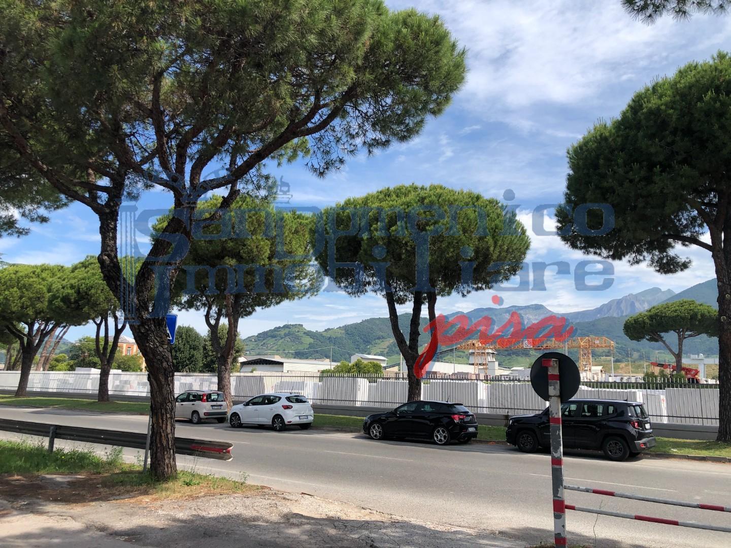 Ufficio da ristrutturare, Massa centro