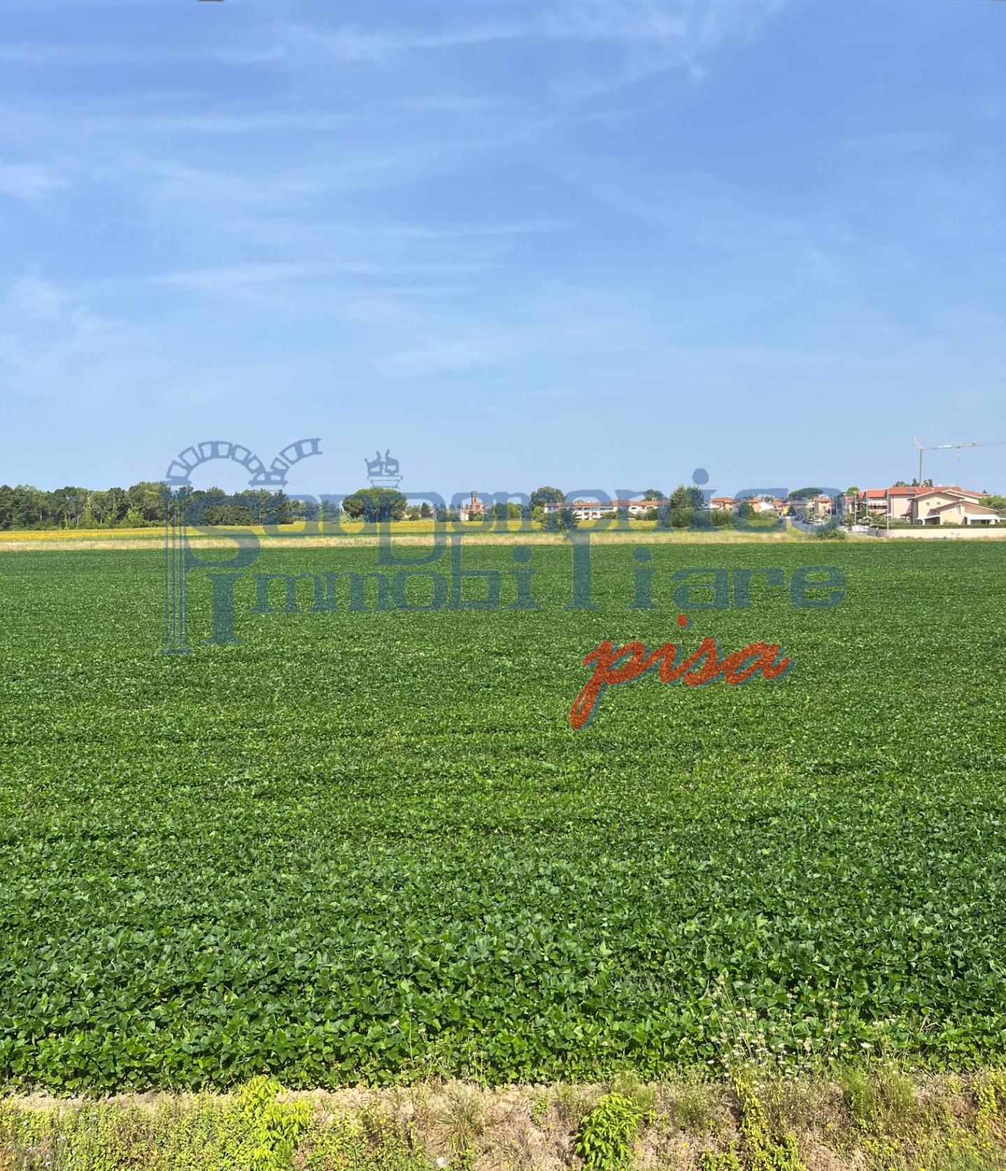 Rustico con terrazzo, San Giuliano Terme arena metato