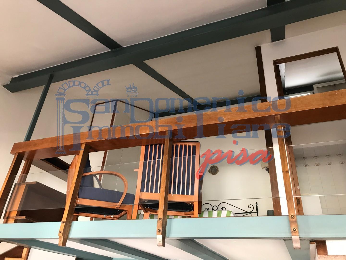 Loft arredato in affitto, Pisa sant'antonio