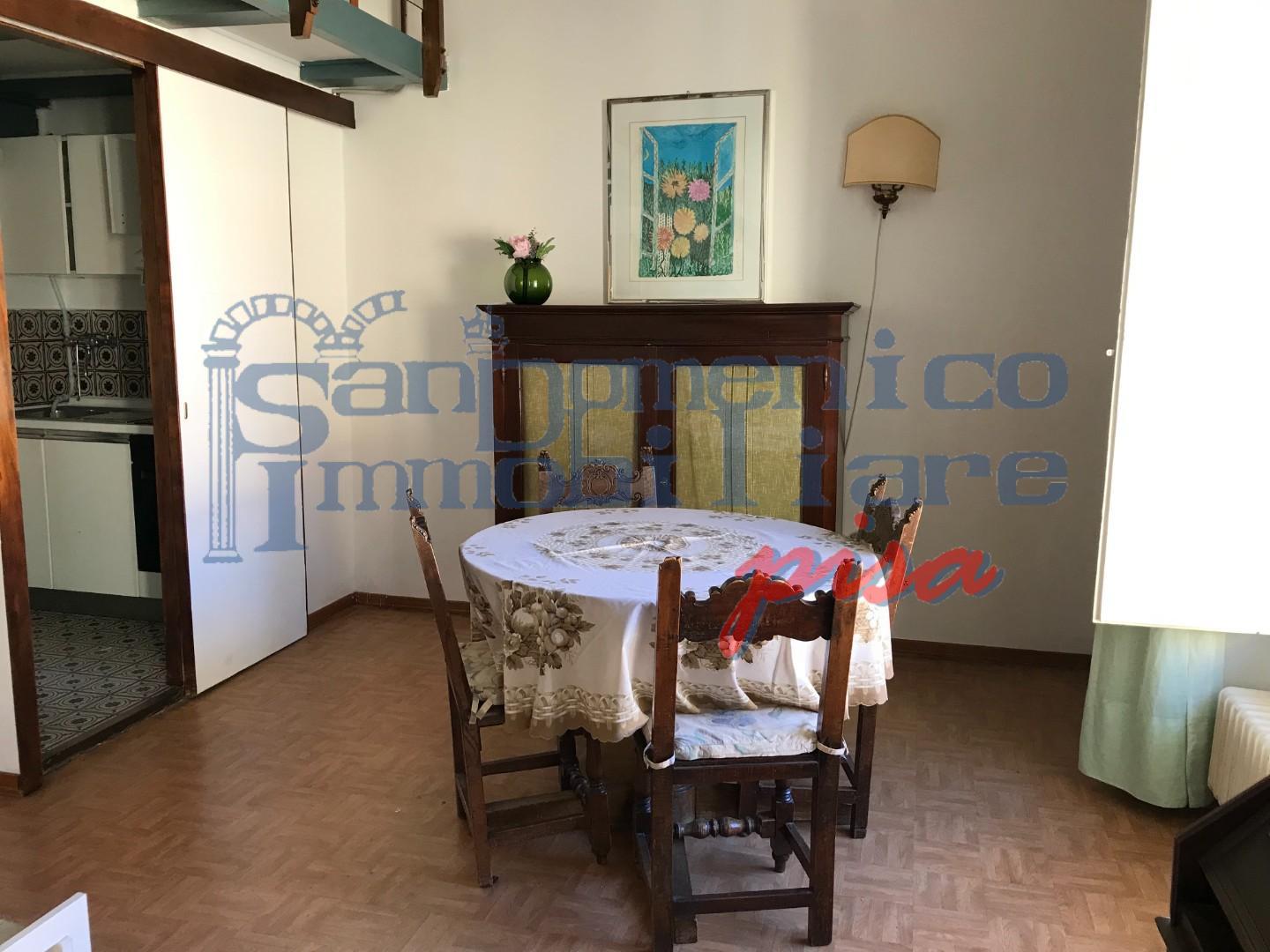 Loft arredato in affitto, Pisa sant'antonio