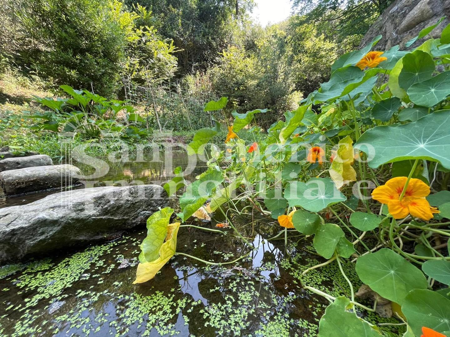 Villa con giardino, Calci montemagno