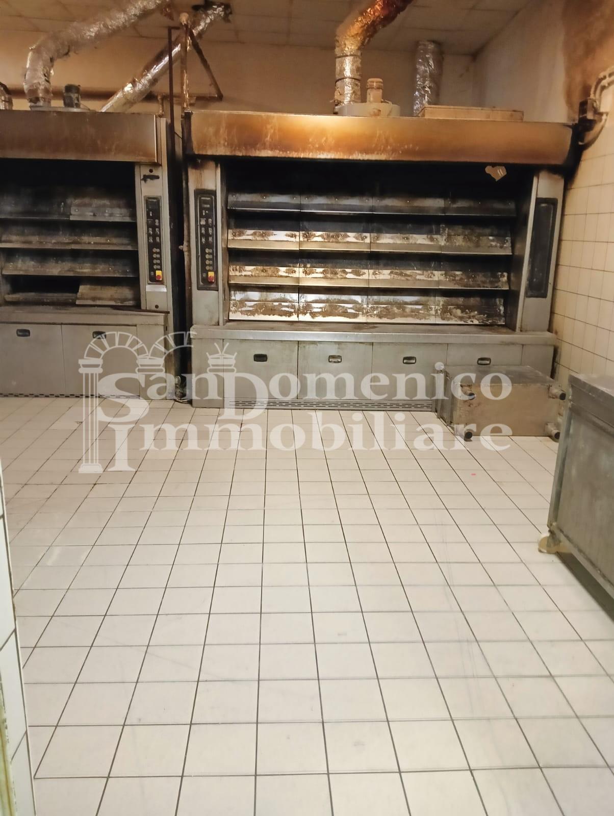 Capannone in affitto, San Giuliano Terme colignola