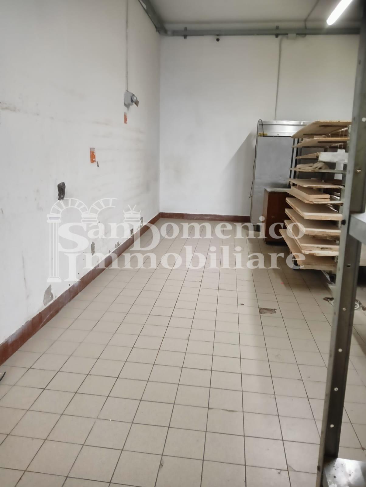 Capannone in affitto, San Giuliano Terme colignola