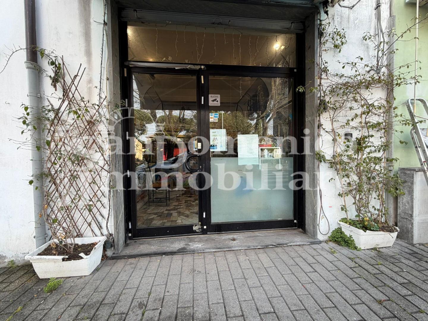 Attivit� commerciale in vendita, Pisa sant'ermete