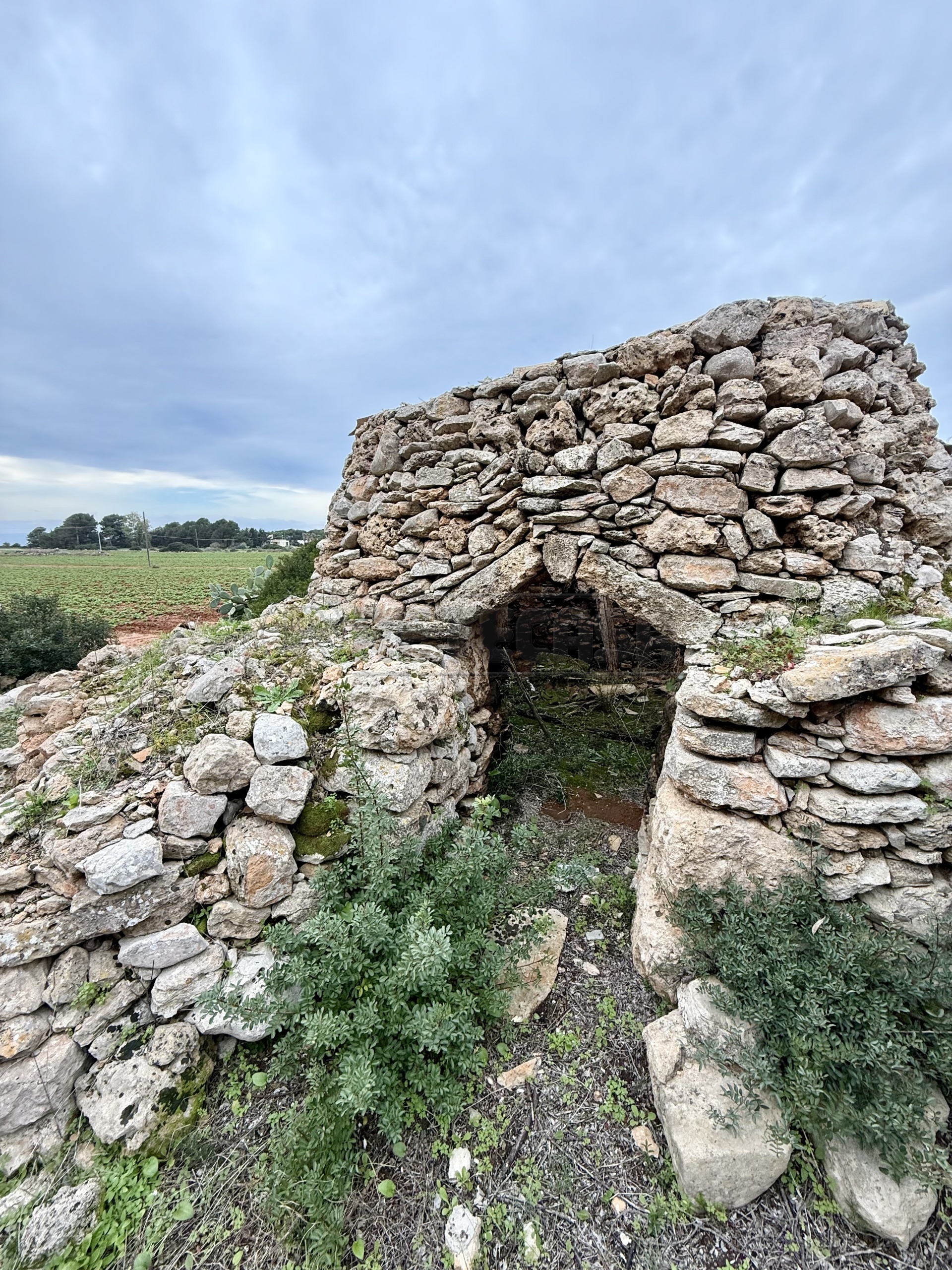 Casa indipendente da ristrutturare in sp286 102, Nard�