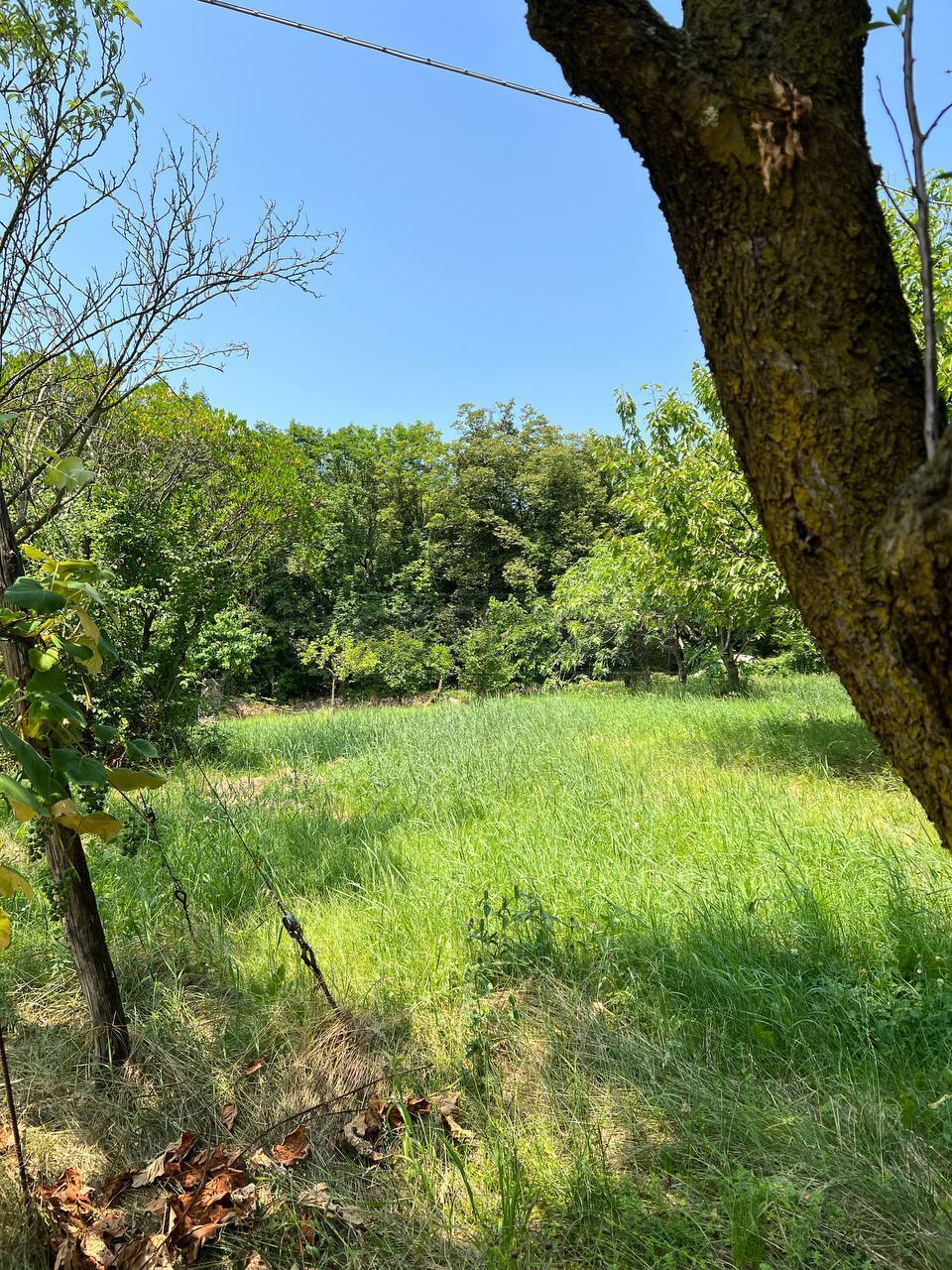 Terreno Agricolo in vendita in via casette 9, Val Liona
