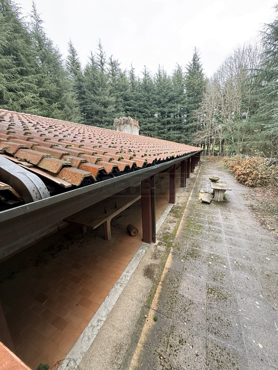 Casa indipendente da ristrutturare, Altissimo campanella