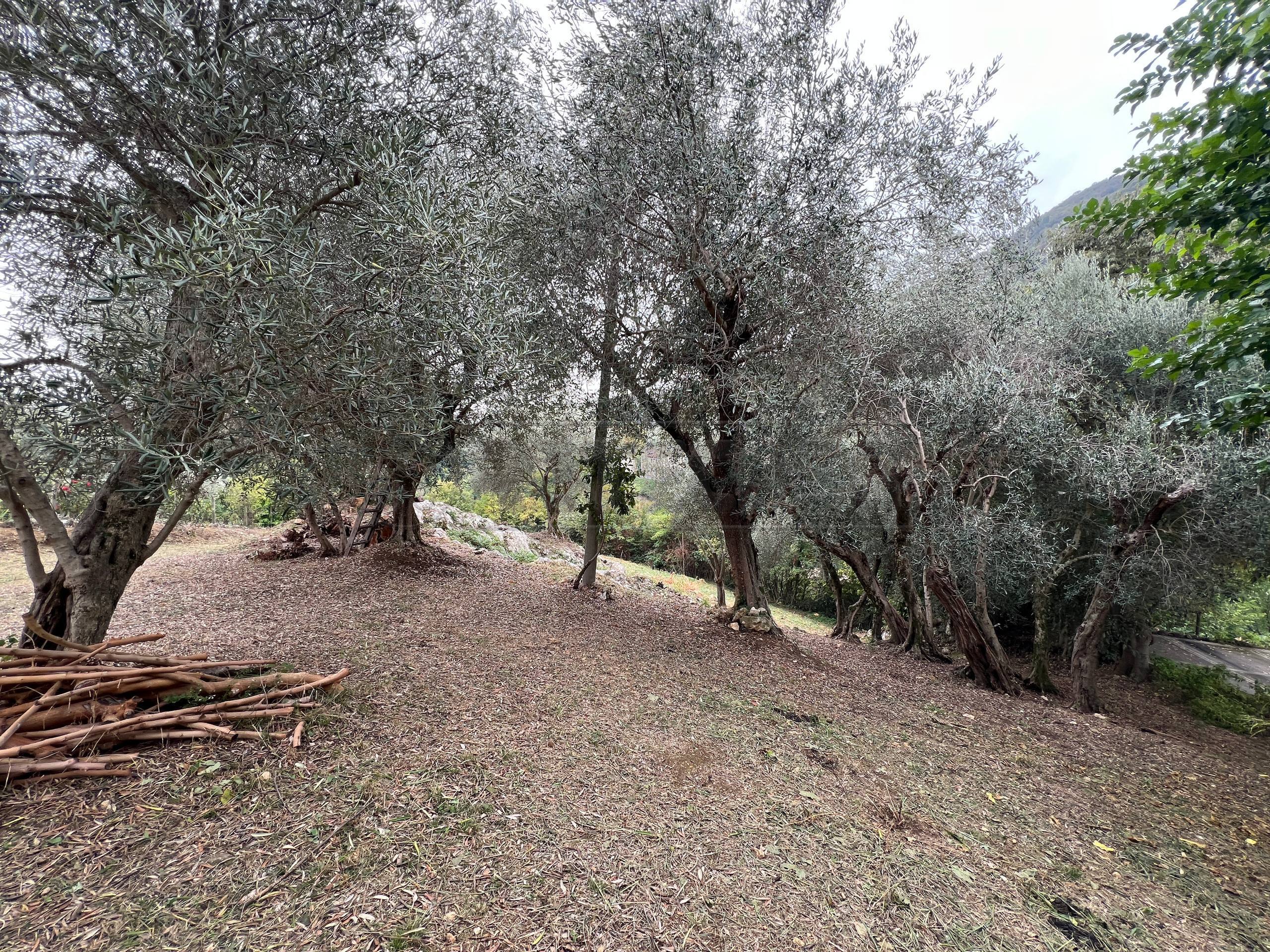 Rustico da ristrutturare in via giuseppe garibaldi 16, Barbarano Mossano