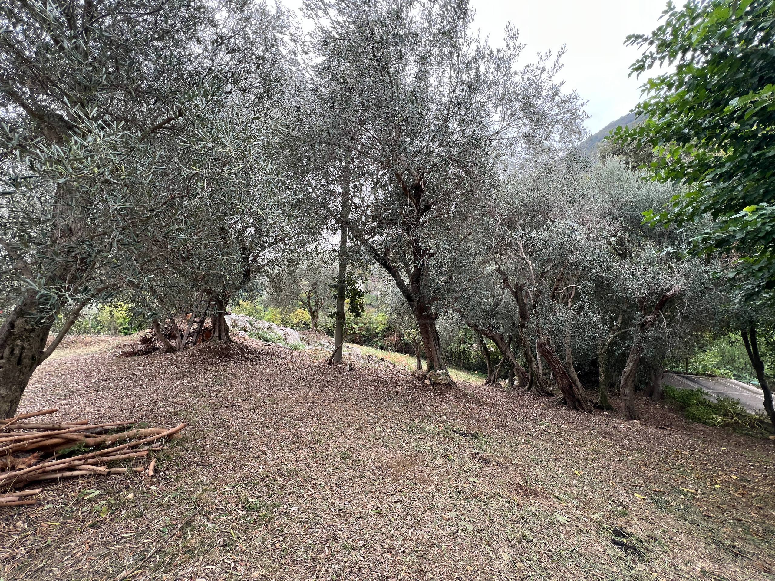 Rustico da ristrutturare in via giuseppe garibaldi 16, Barbarano Mossano
