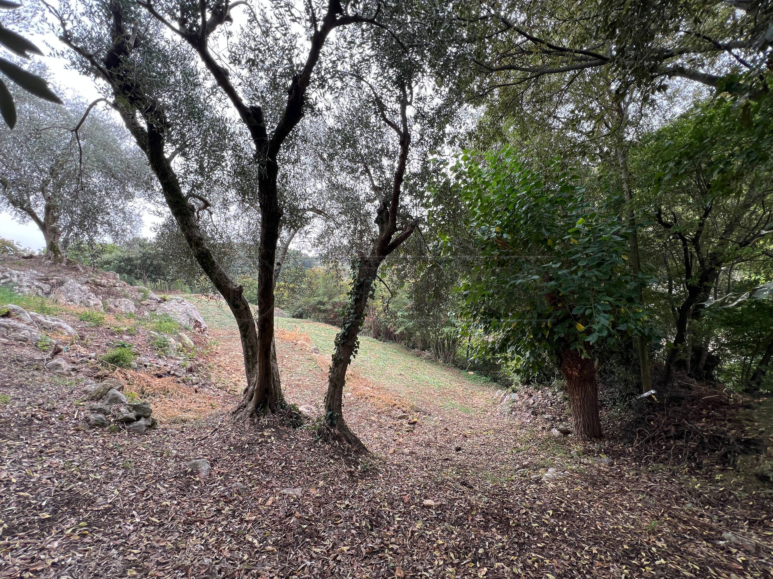 Rustico da ristrutturare in via giuseppe garibaldi 16, Barbarano Mossano