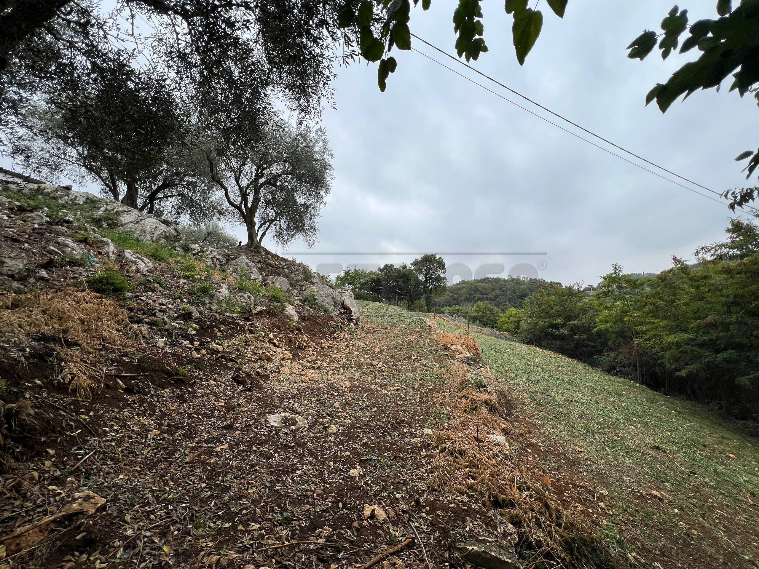 Rustico da ristrutturare in via giuseppe garibaldi 16, Barbarano Mossano