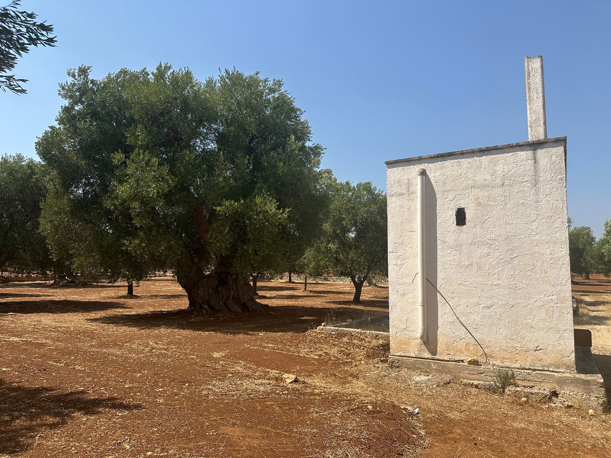 Casa indipendente da ristrutturare in strada statale 16 adriatica, Ostuni