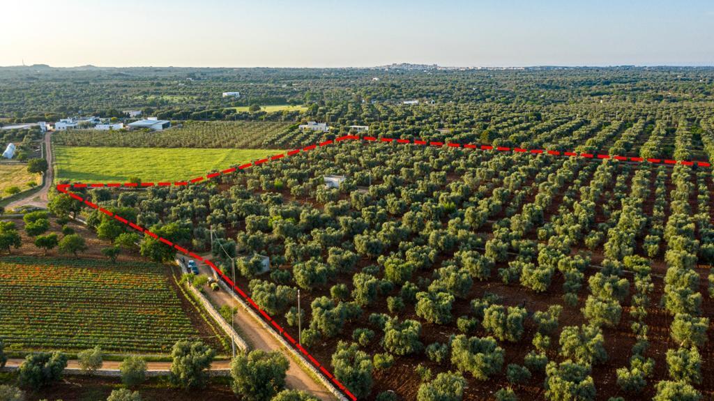 Terreno Edificabile in vendita in contrada correo, Carovigno