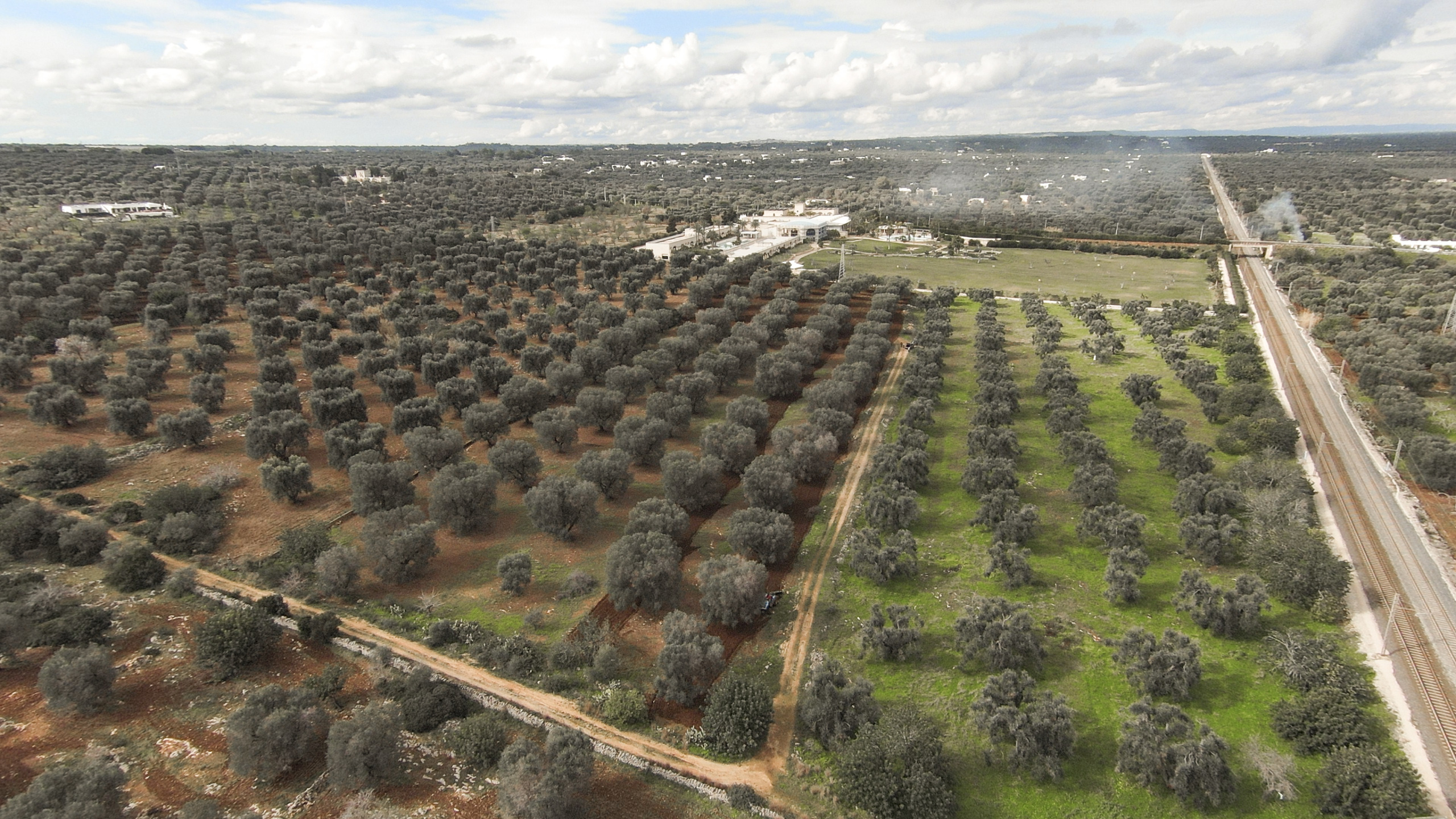 Terreno Edificabile in vendita a Carovigno