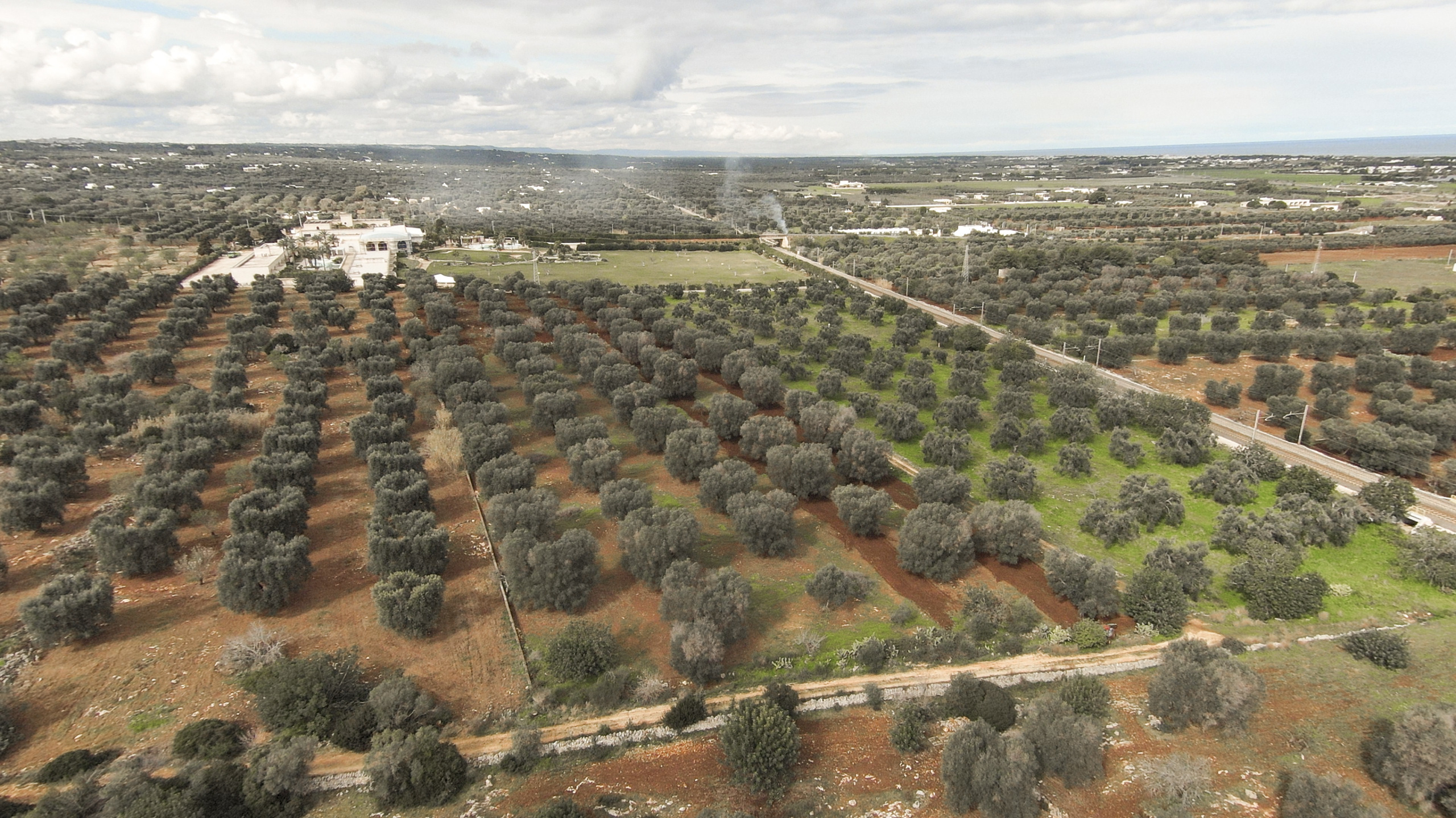 immagine annuncio 1 di 3