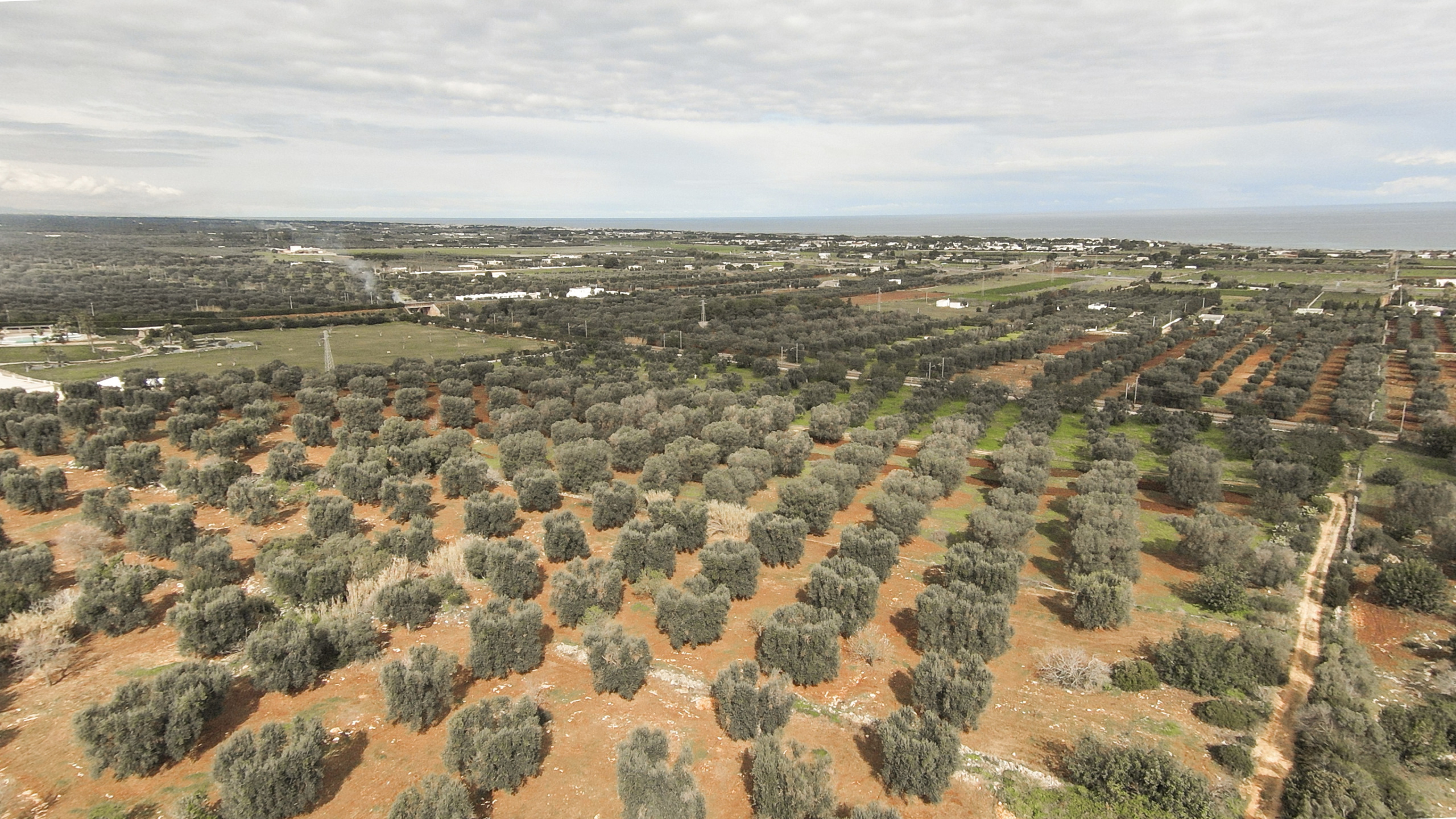 immagine annuncio 2 di 3