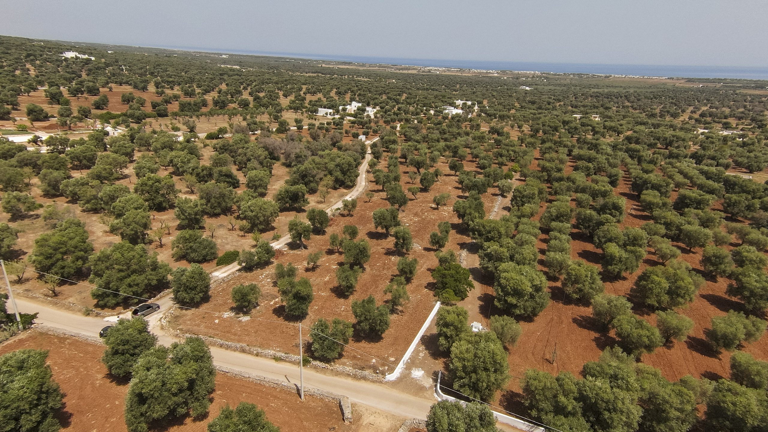 Terreno Edificabile nuovo in contrada specchia, Carovigno