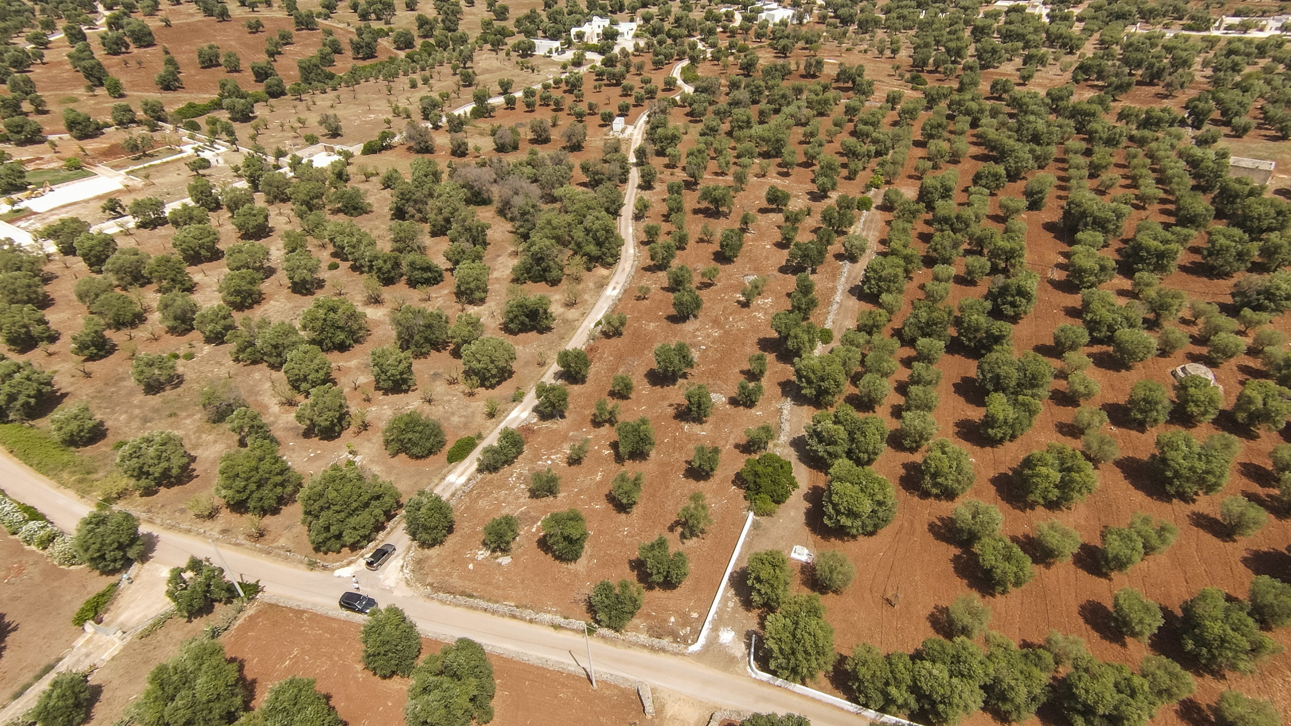 Terreno Edificabile nuovo in contrada specchia, Carovigno