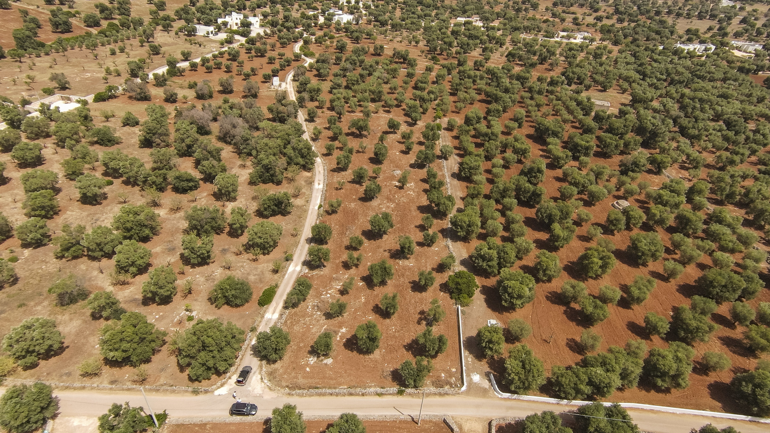Terreno Edificabile nuovo in contrada specchia, Carovigno