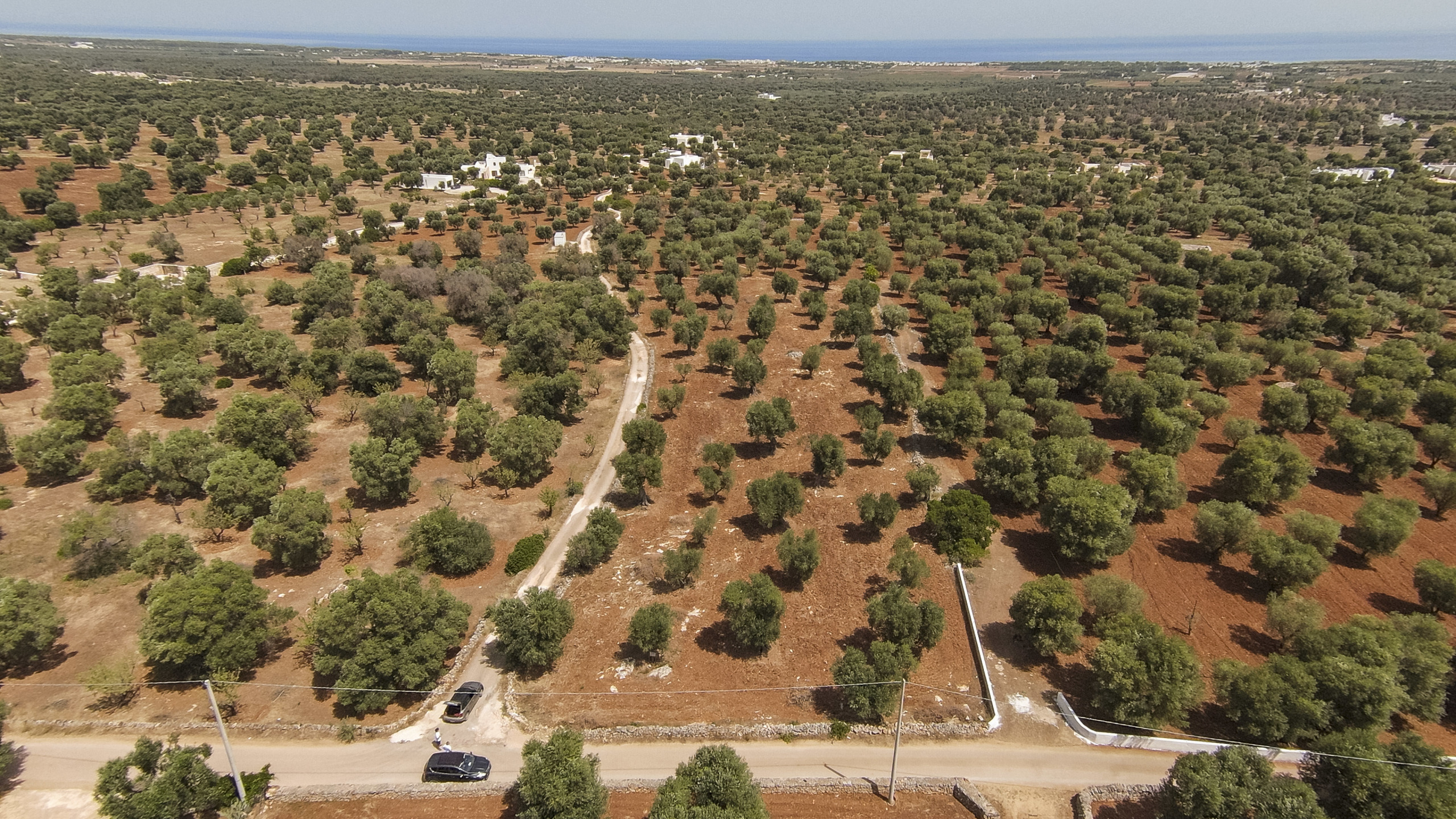 Terreno Edificabile nuovo in contrada specchia, Carovigno