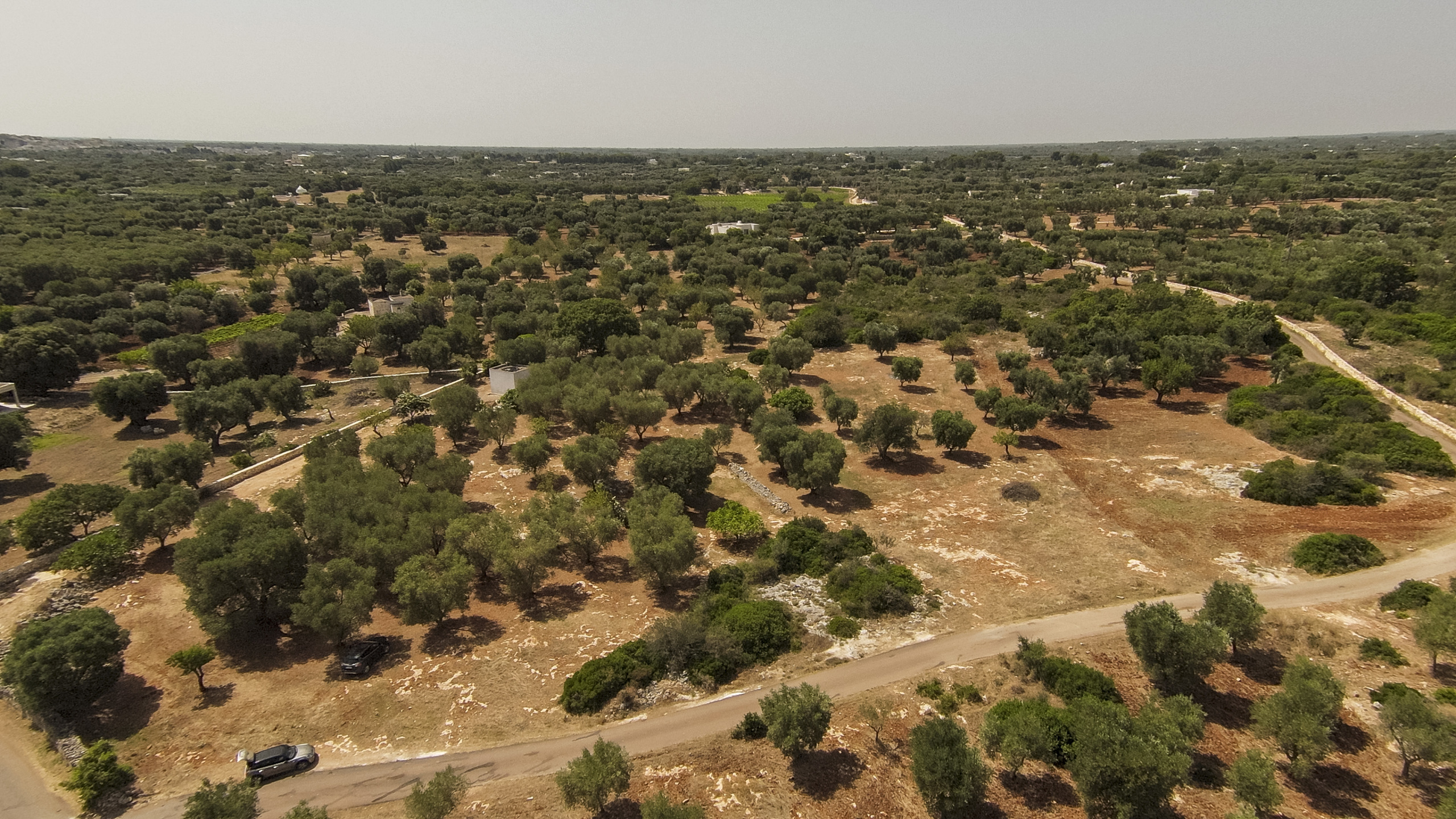 Terreno Edificabile vista mare in contrada acciano, Carovigno