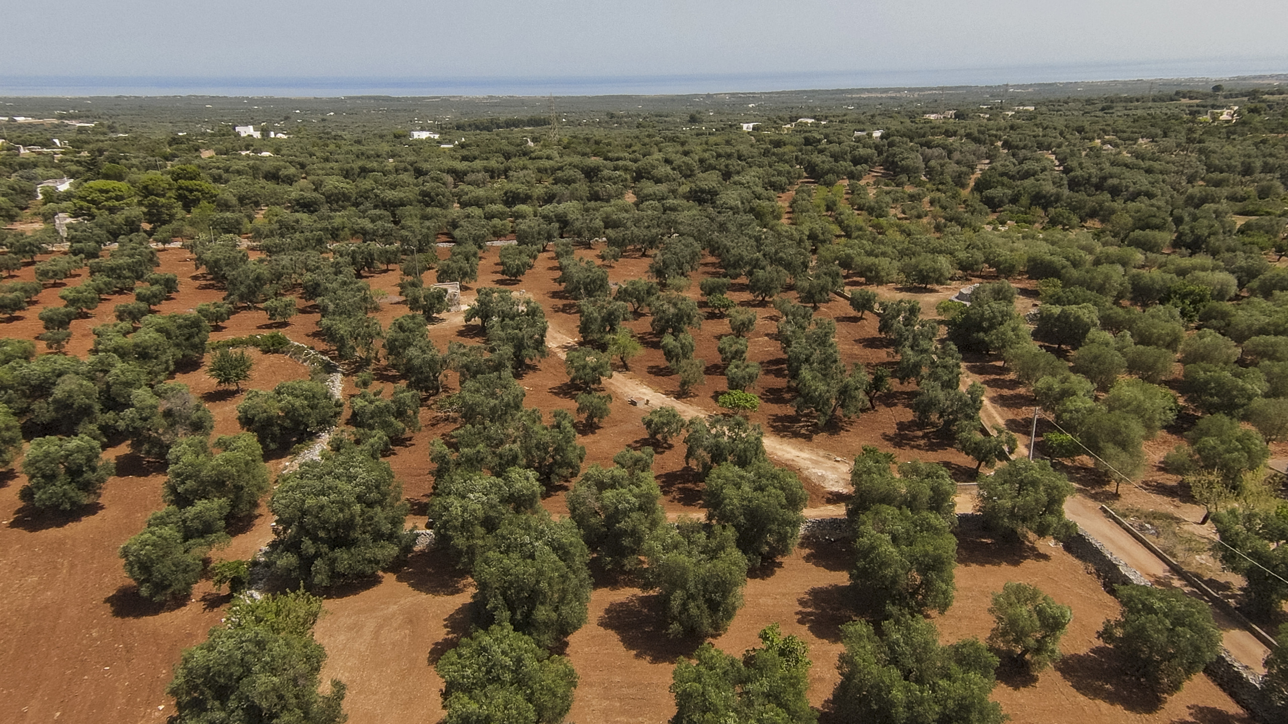 Casa indipendente da ristrutturare in contrada catanzani 18, Carovigno