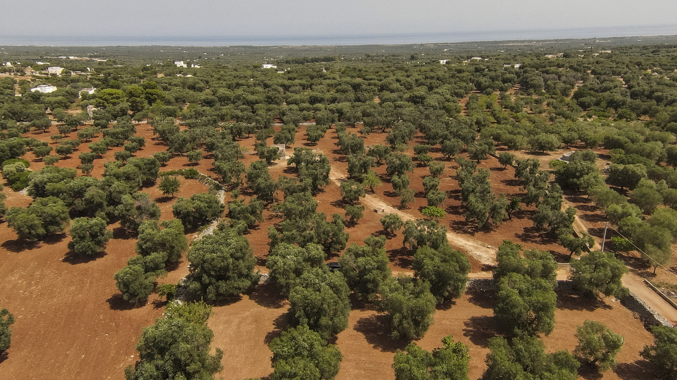 Casa indipendente da ristrutturare in contrada catanzani 18, Carovigno