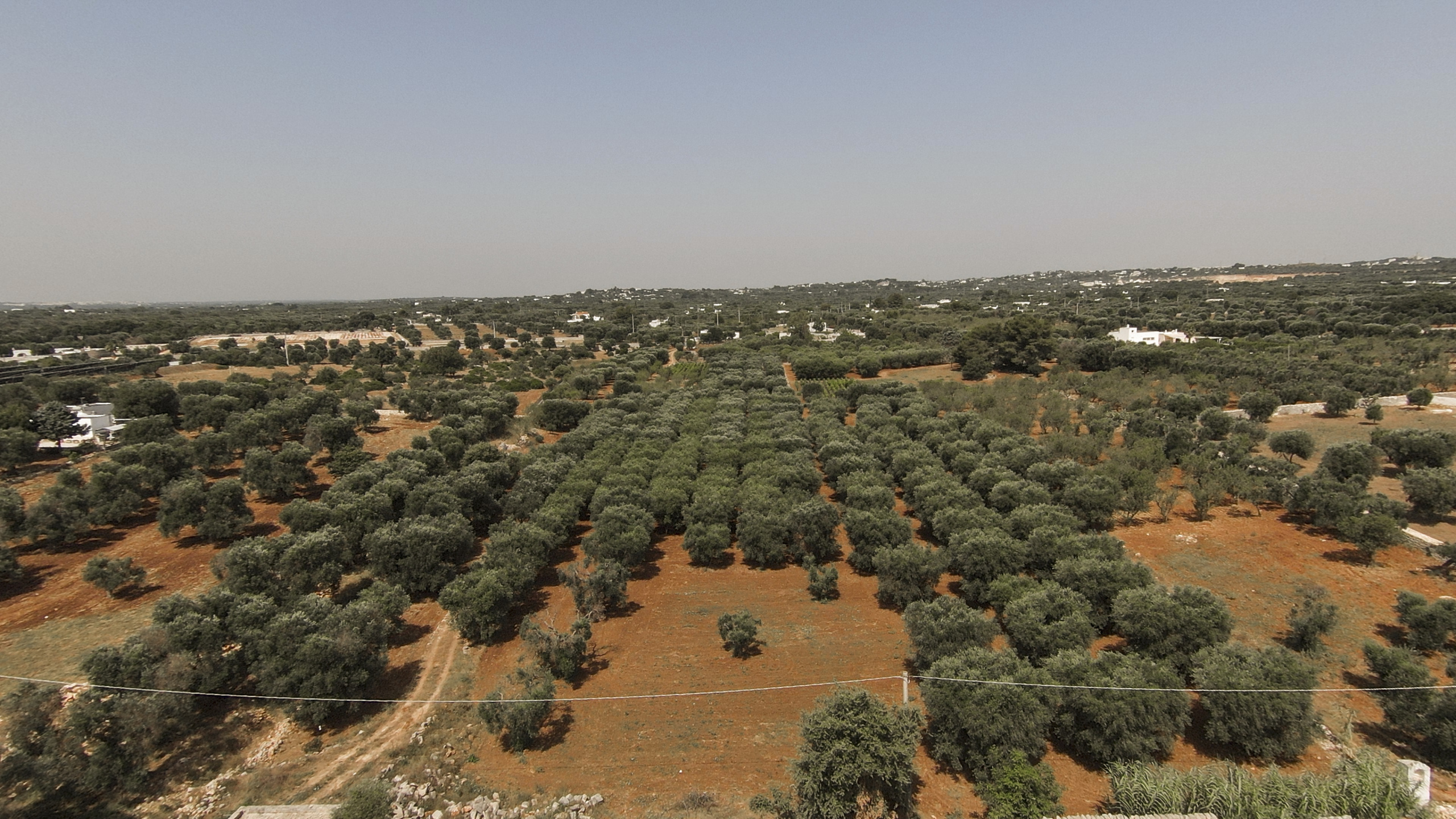 Terreno Edificabile da ristrutturare in contrada santo scalonesanto scalone snc, Ostuni