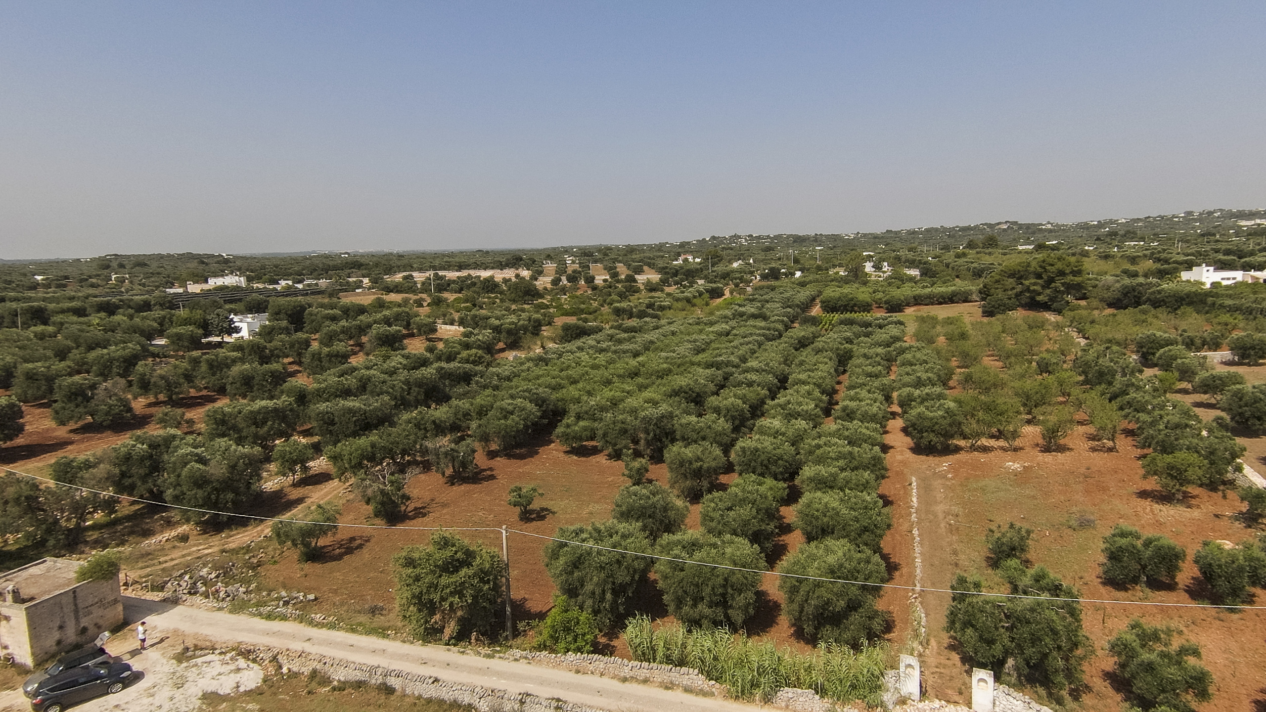 Terreno Edificabile da ristrutturare in contrada santo scalonesanto scalone snc, Ostuni