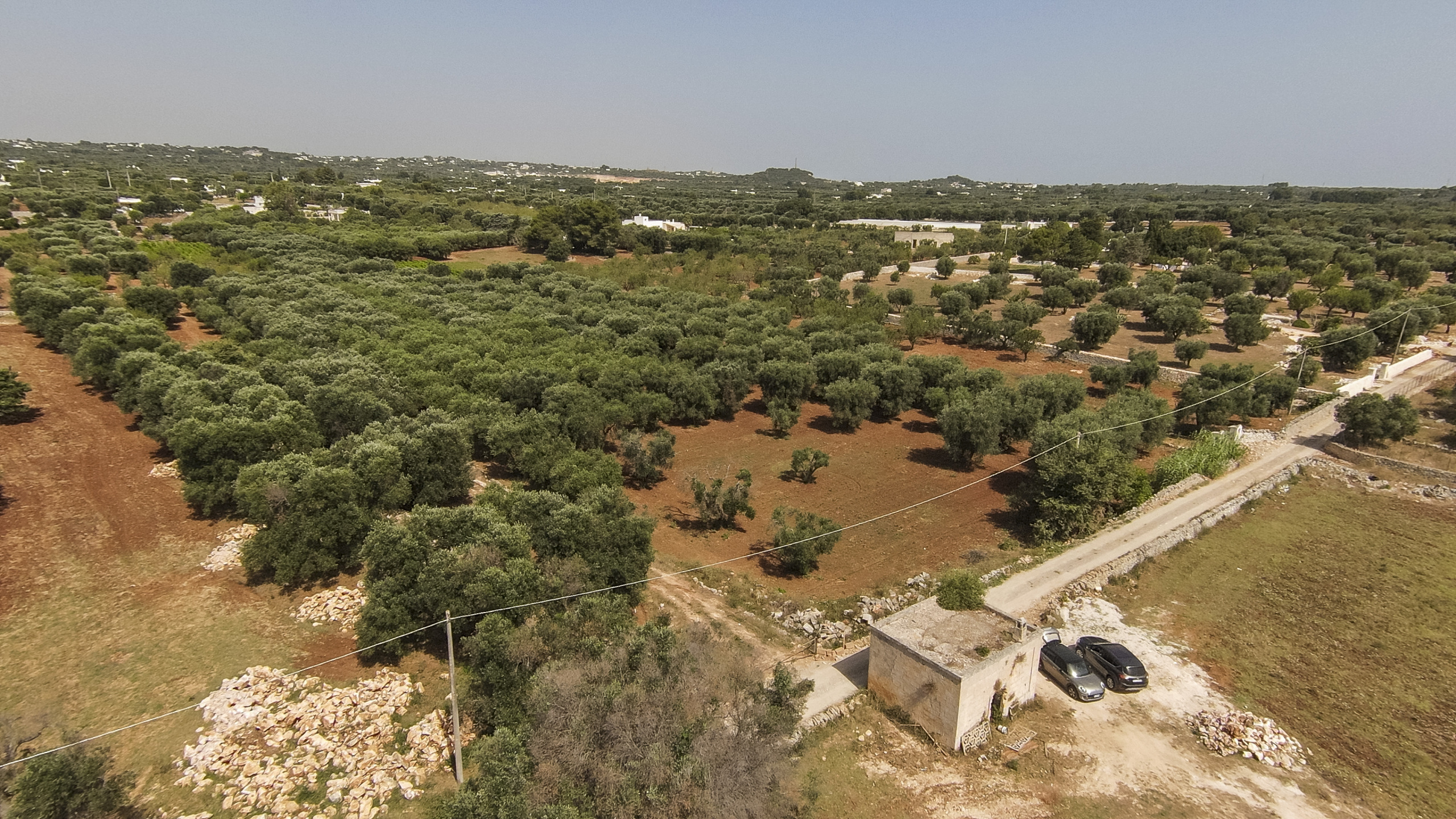 Terreno Edificabile da ristrutturare in contrada santo scalonesanto scalone snc, Ostuni