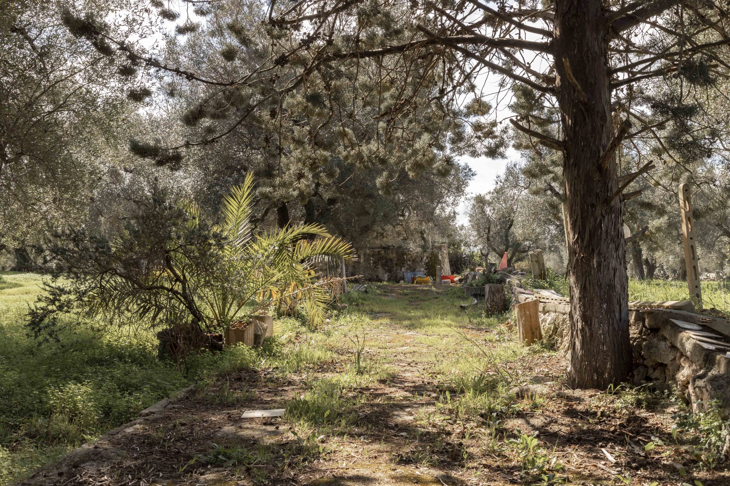 Casa indipendente vista mare in contrada bufalaria, Carovigno