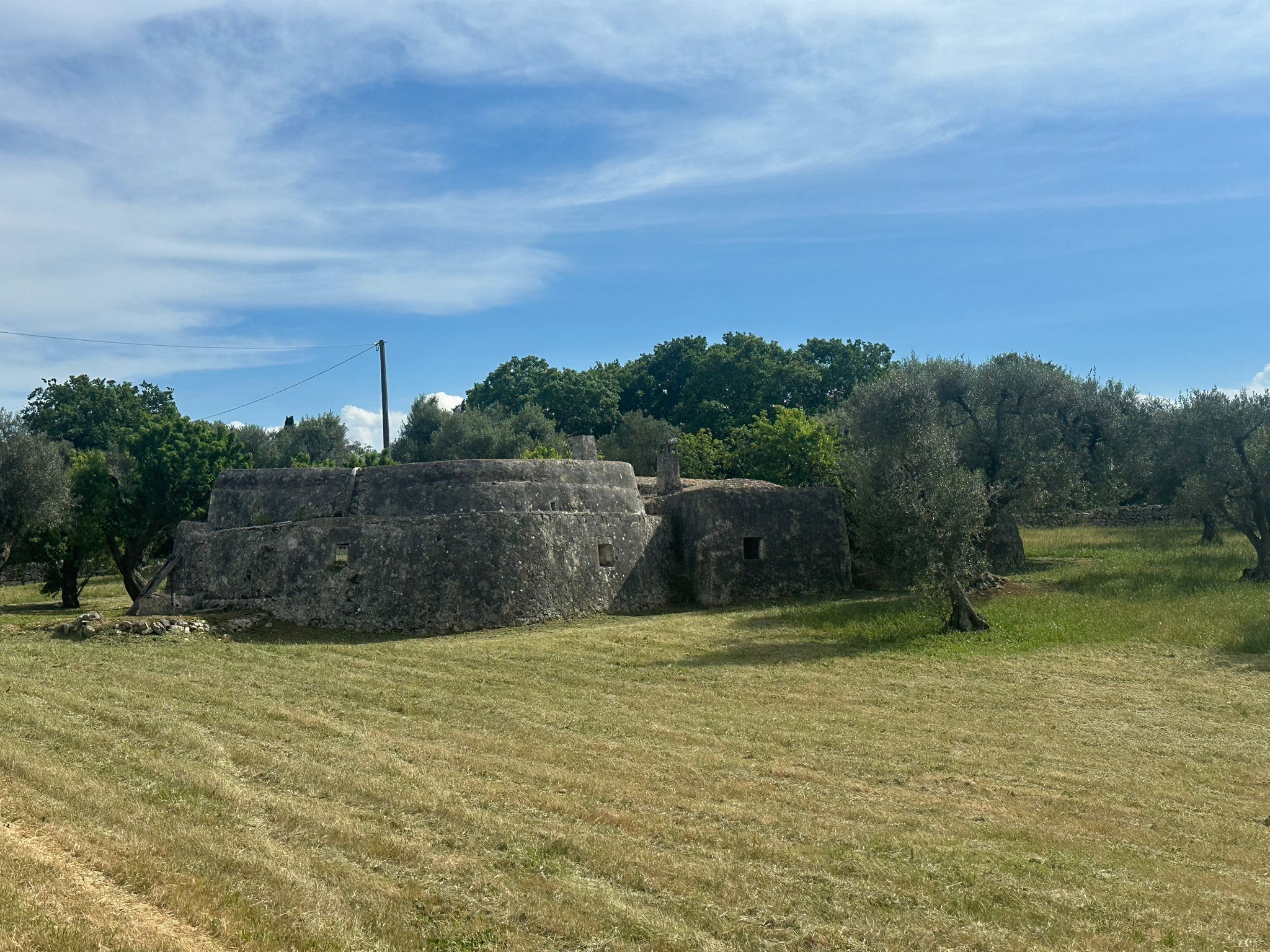 immagine annuncio 2 di 6