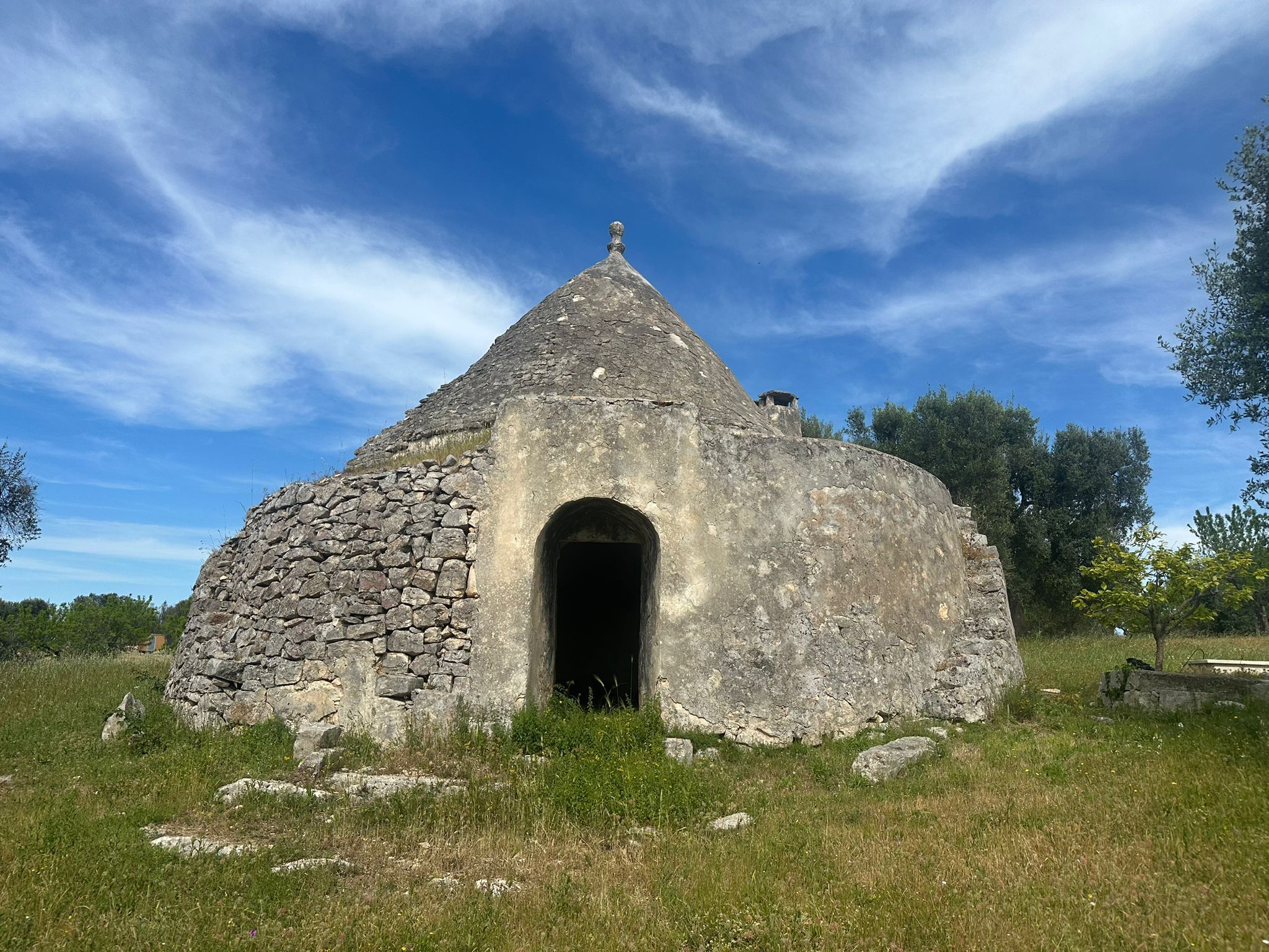 immagine annuncio 3 di 6