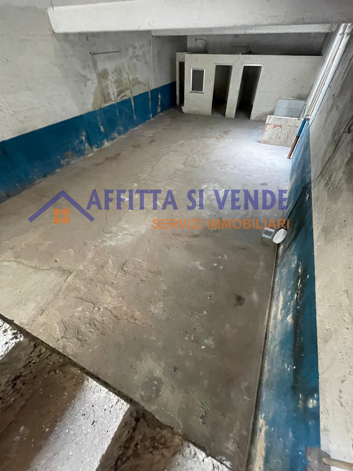 immagine annuncio 5 di 6