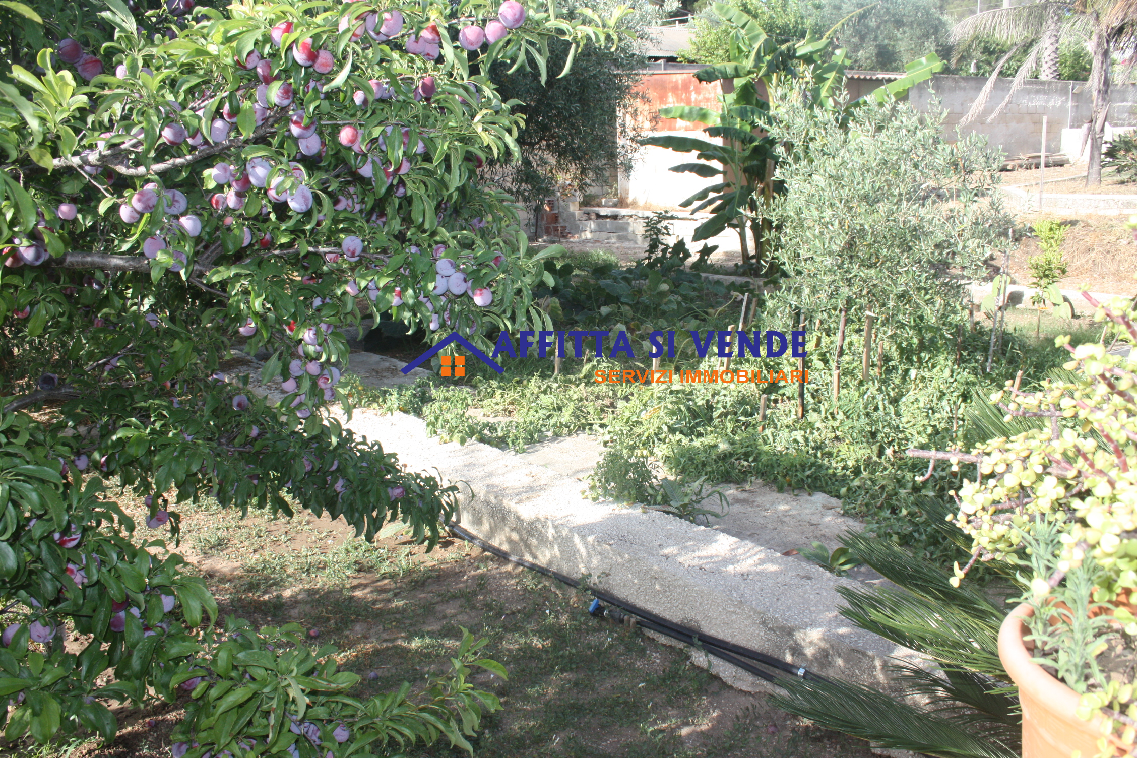 Villa con giardino in via beato federico campisano 20, Siracusa