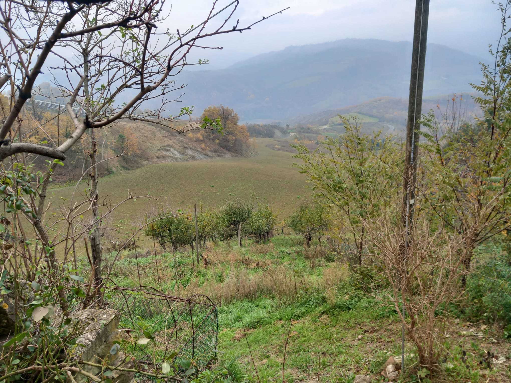 Terreno Agricolo in vendita in via savignano di rigo cicognaia 2, Sogliano al Rubicone