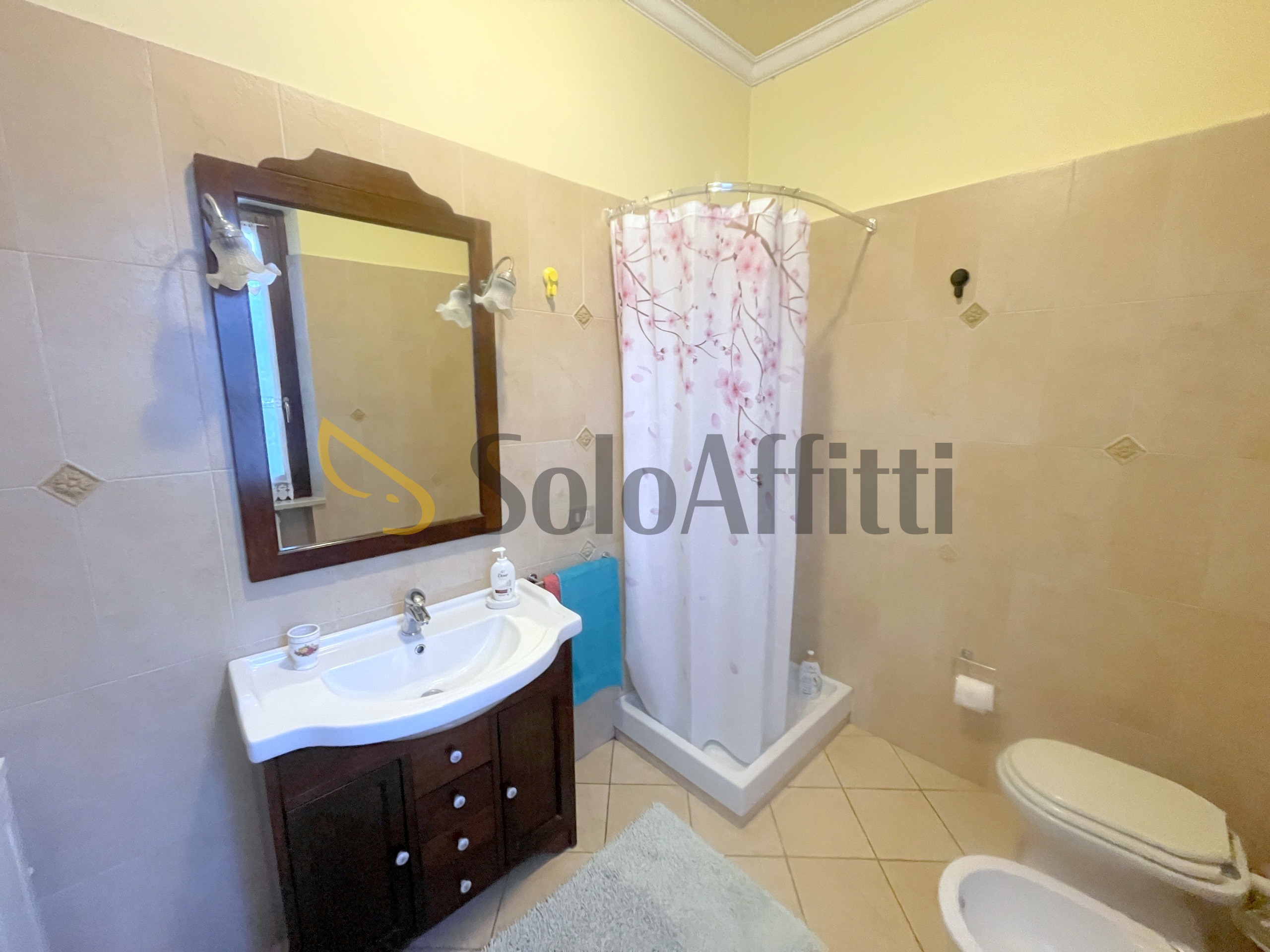 Trilocale in affitto a Monte Roberto